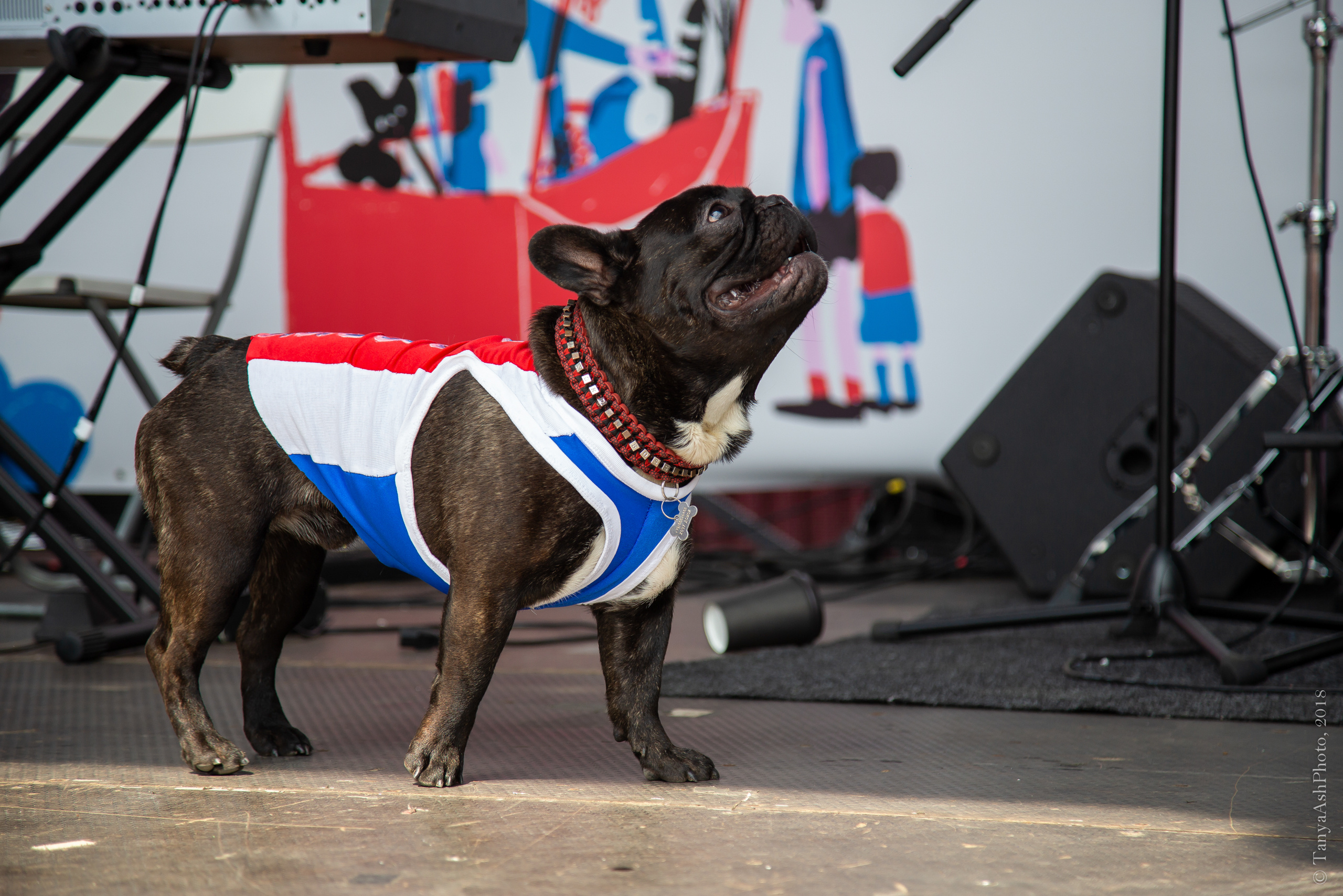 Фестиваль День Франции 2018. Photographer Sonkina Tatiana (Tanya Ash)