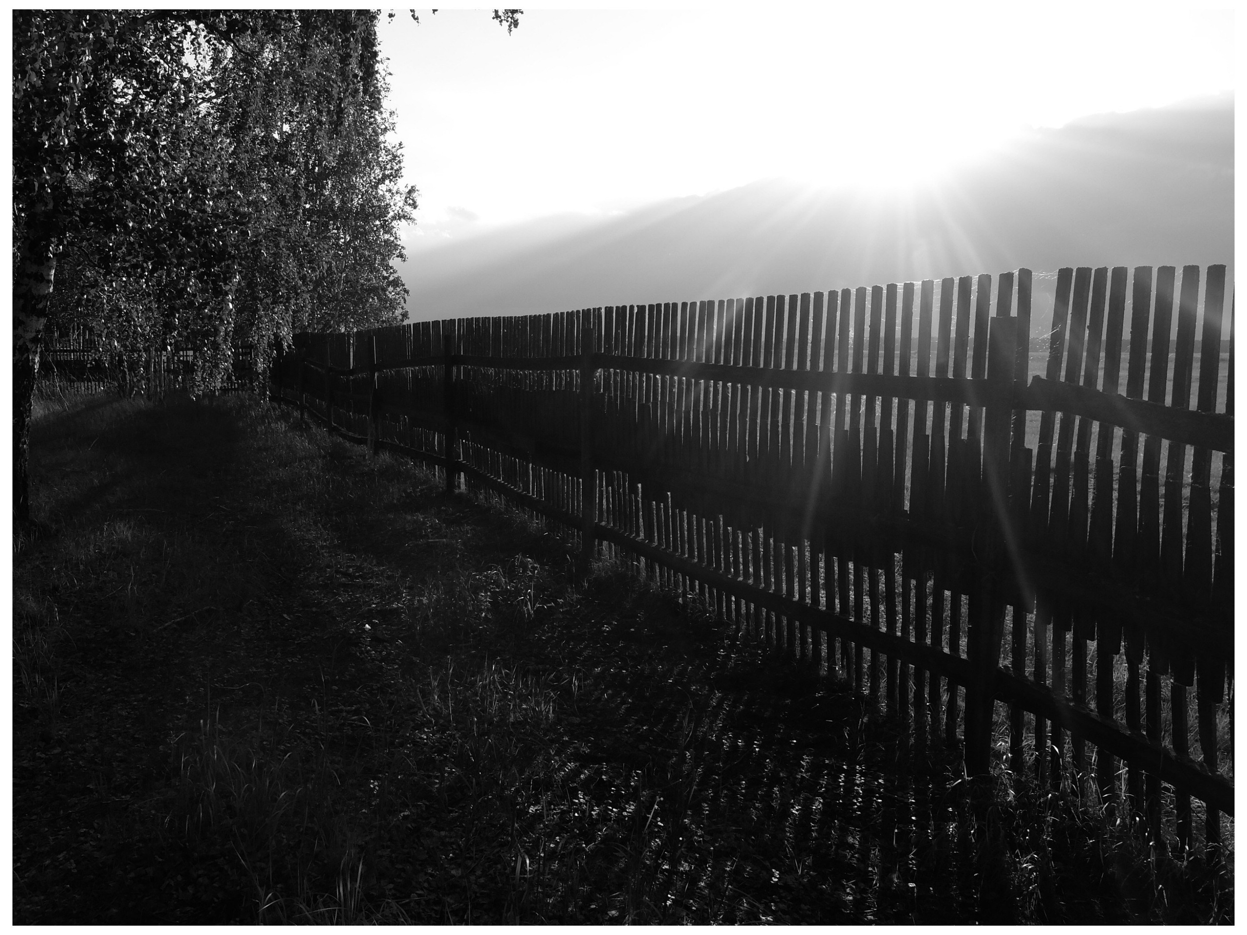 Промежуточные моменты (2022)