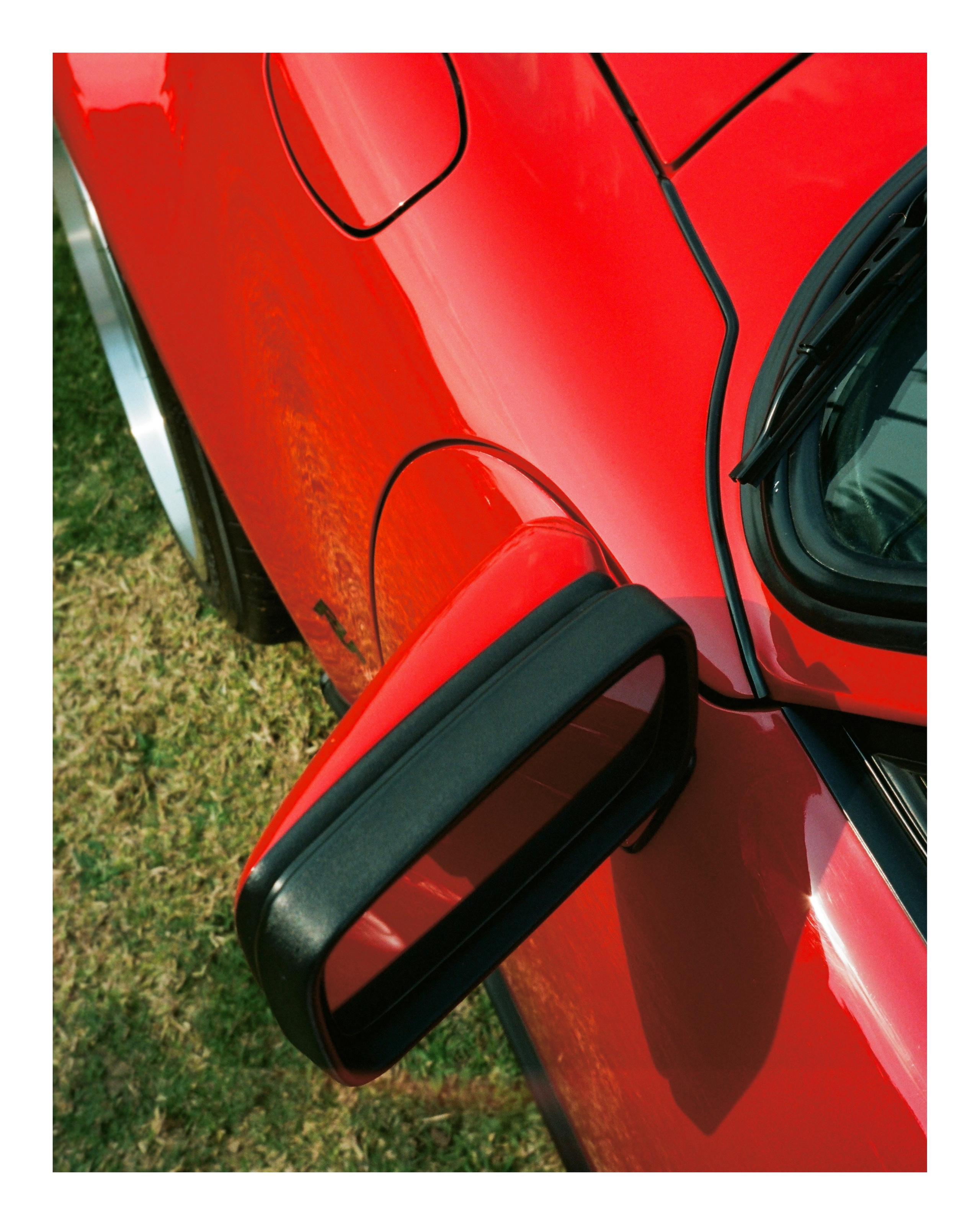 The Grand Picnic (35мм). Katyavasileva