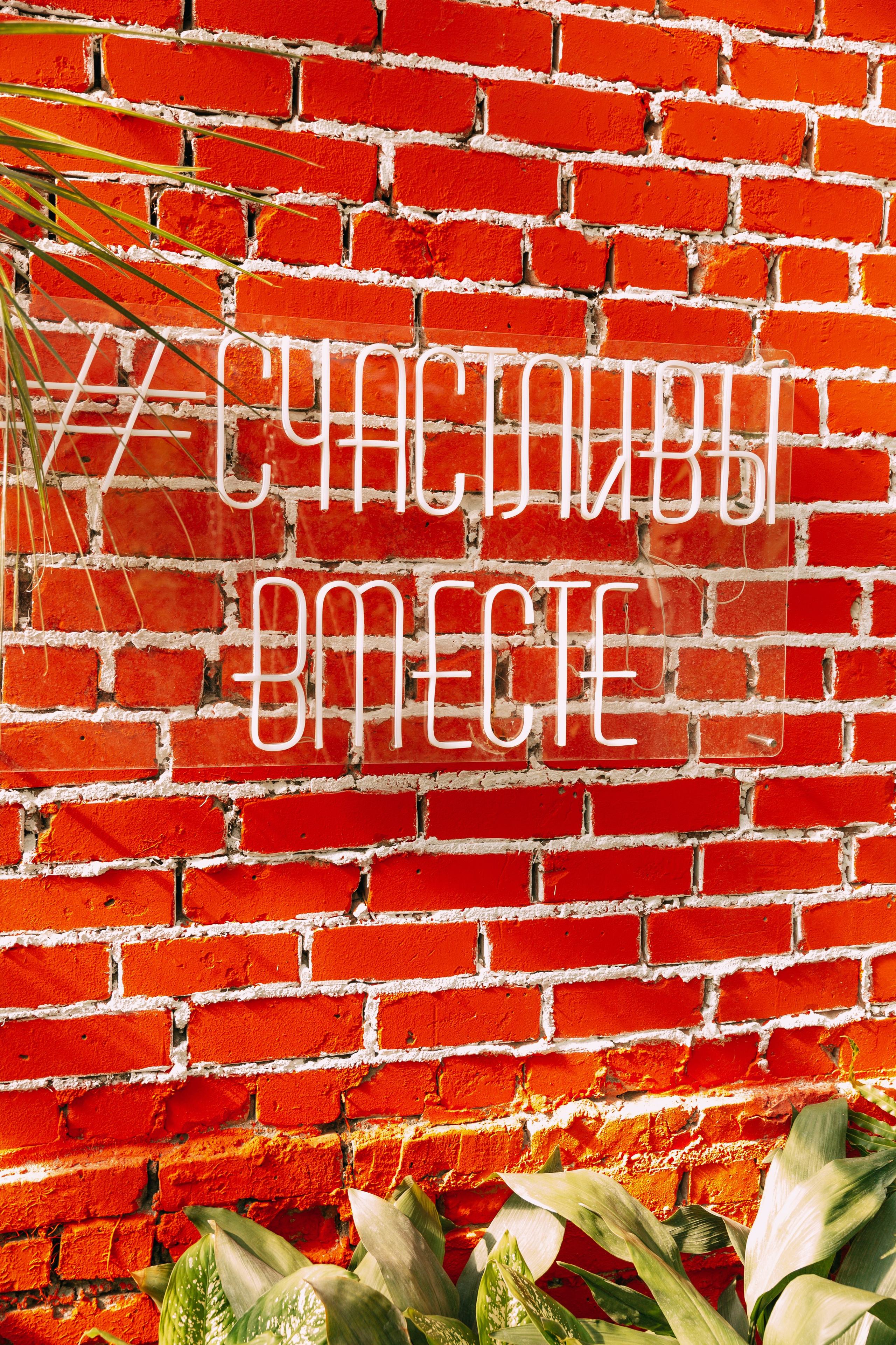 Оля и Кирилл. Катерина Макиева