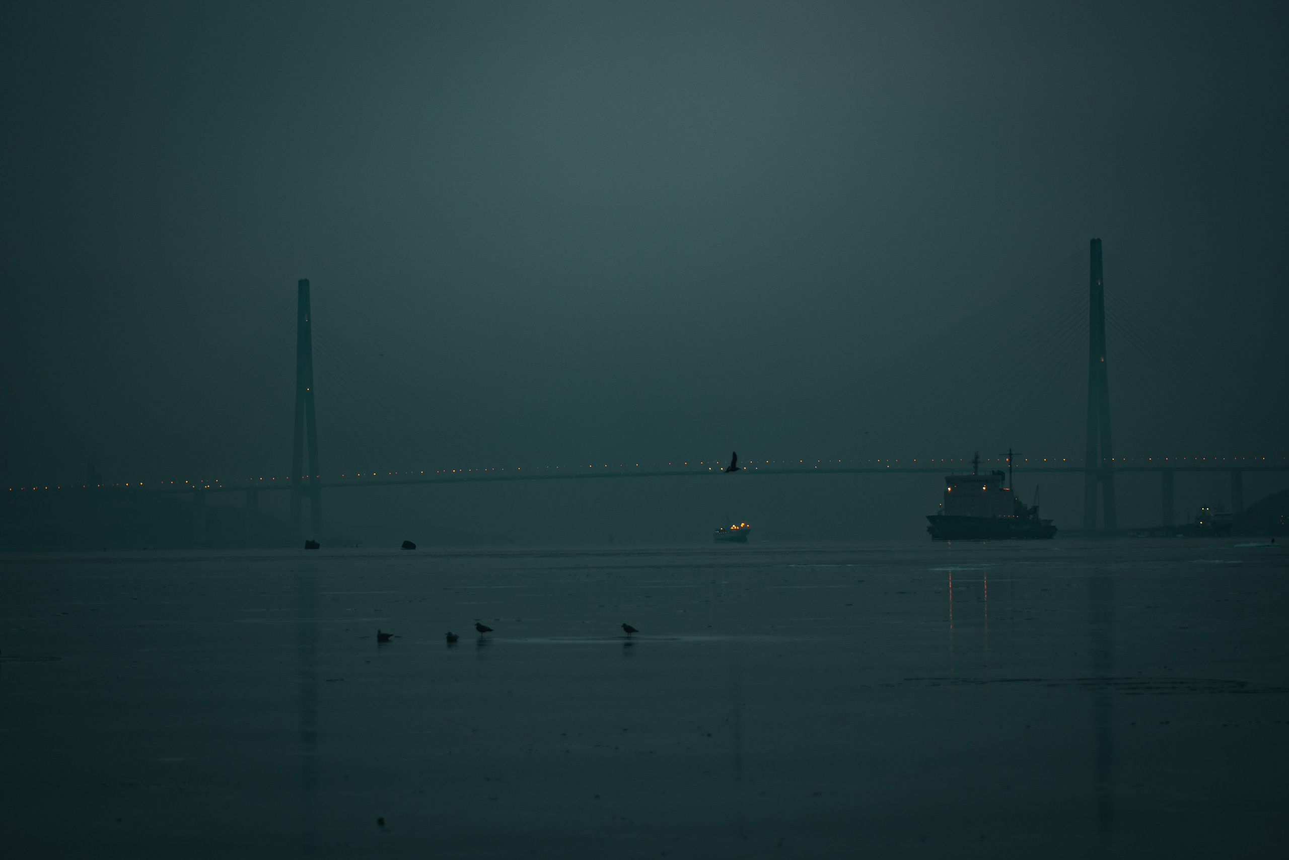 Находка, Декабрь 2023