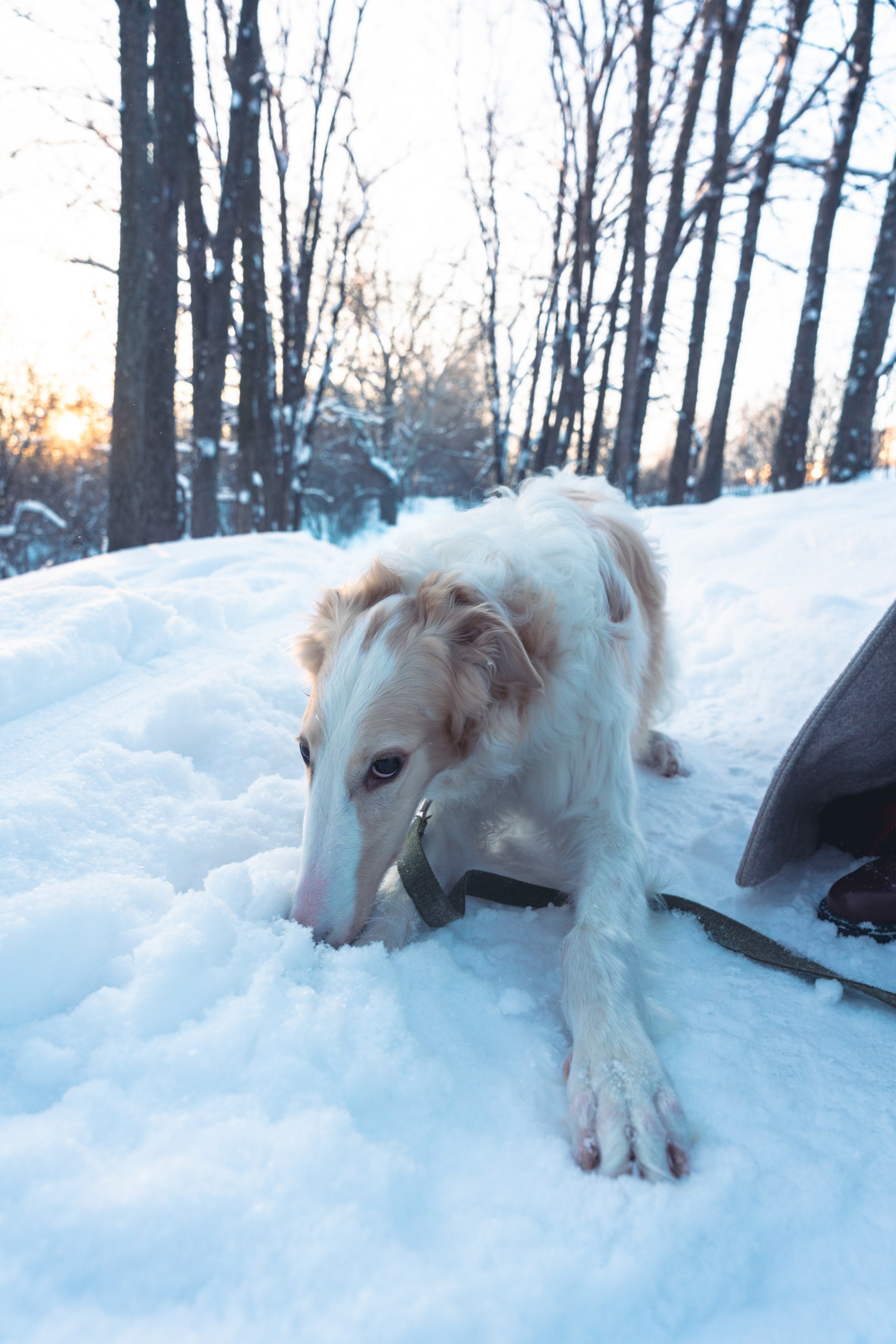 Лена, Январь 2024