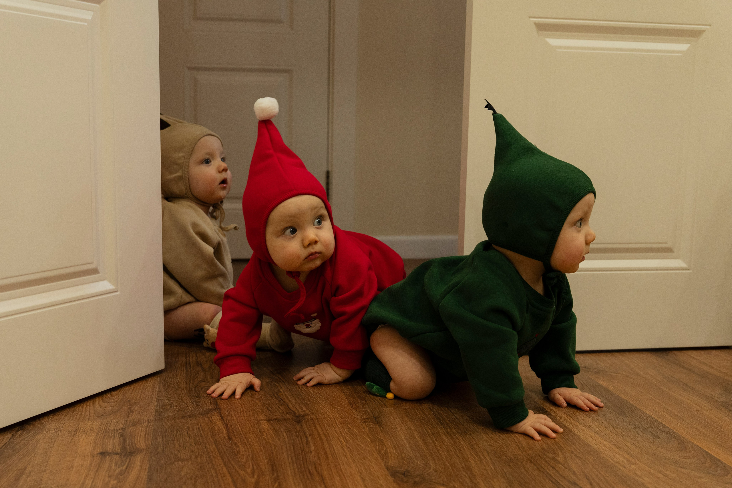 Новогодние тройняшки. Главная