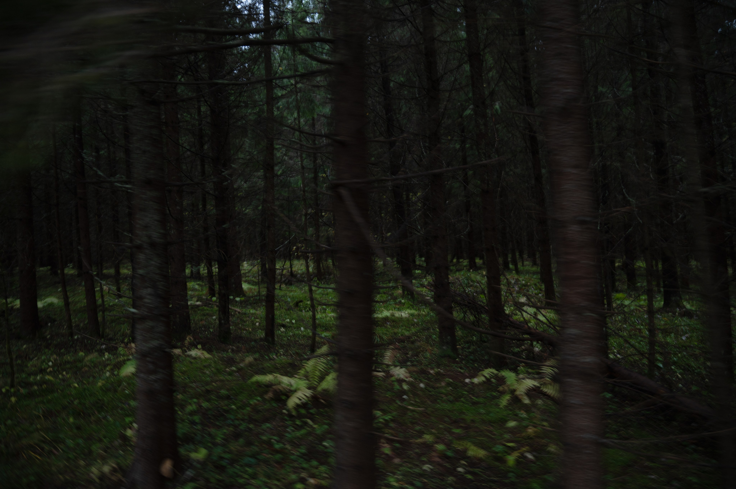 Press tour DEESPORT. Портретный и репортажной фотограф Алексей Волков. Москва, Оренбург