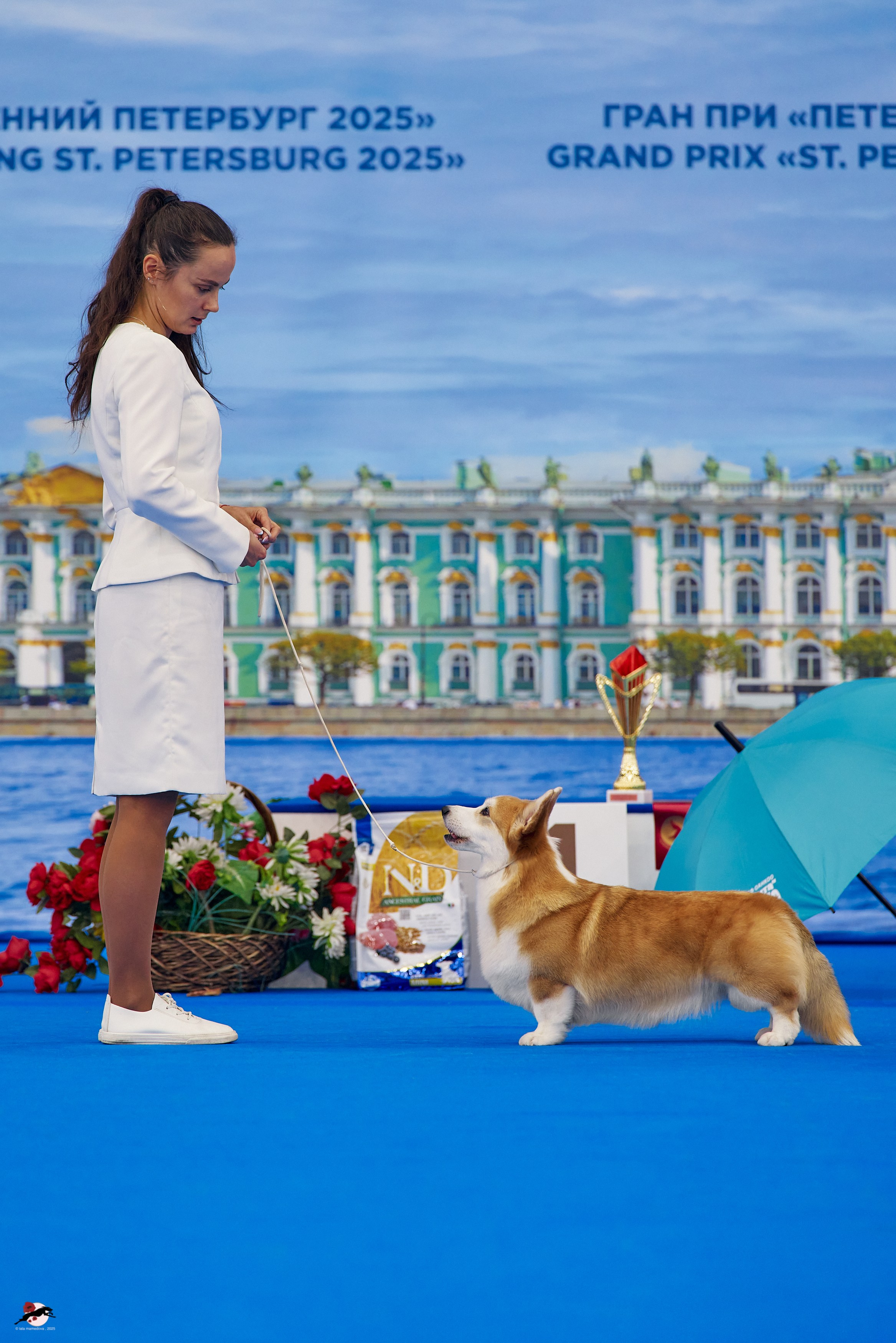 27.04.2025 | "Петербург-Элита 2025" & «КУБОК «ЭЛИТЫ»-2025»