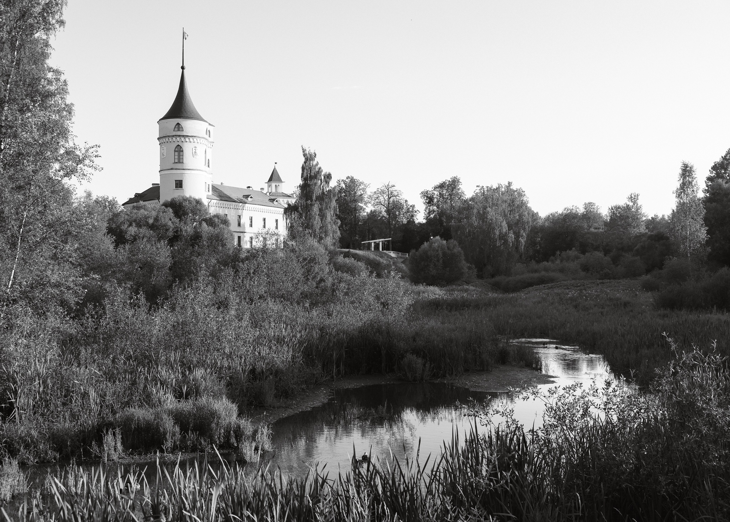 Artem & Anastasia • Castle Bip. Anna Fridenberg | wedding photographer