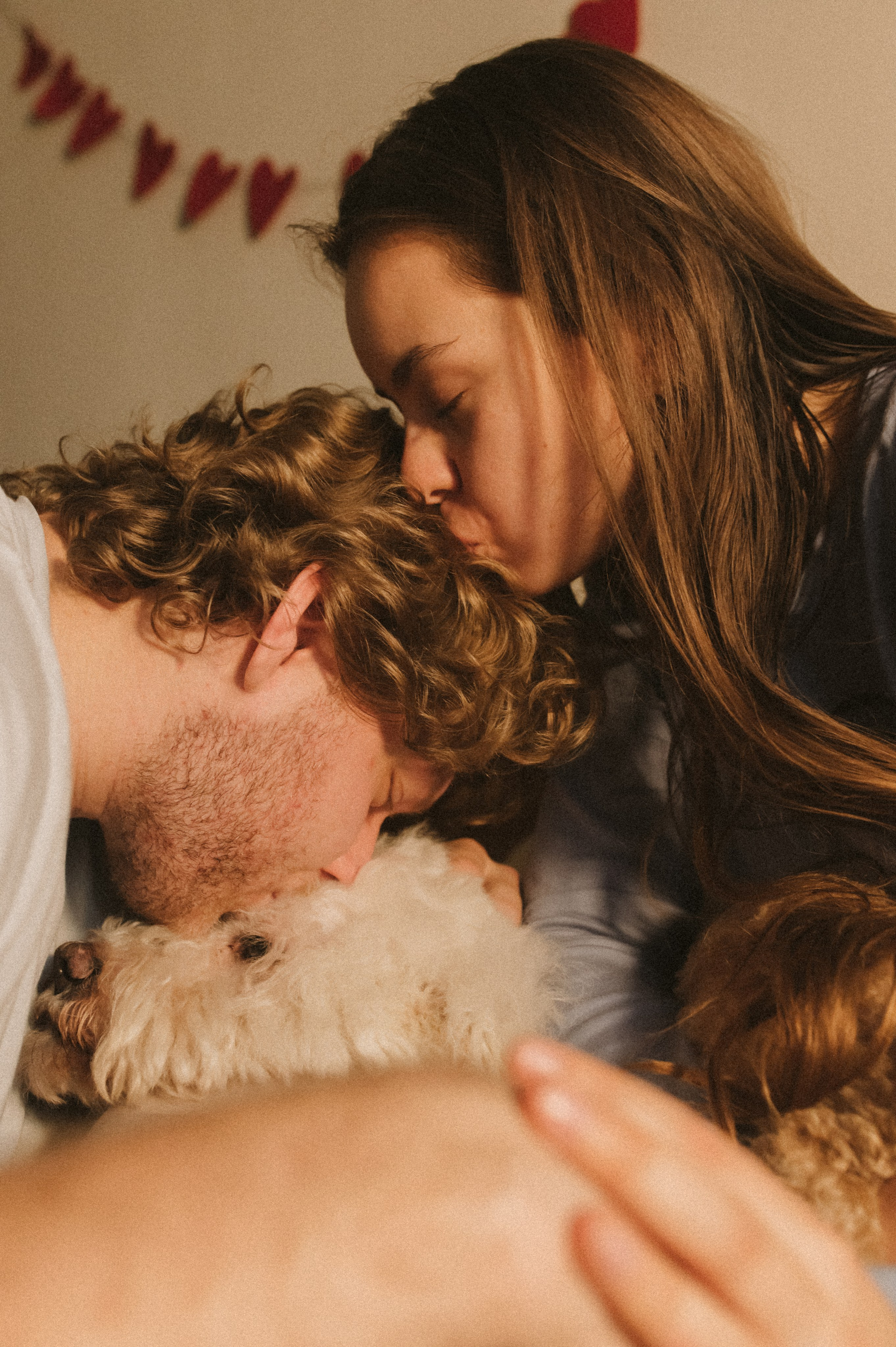 Ання и её кудрявая команда. Фотограф анималист в Москве Ольга Агушева