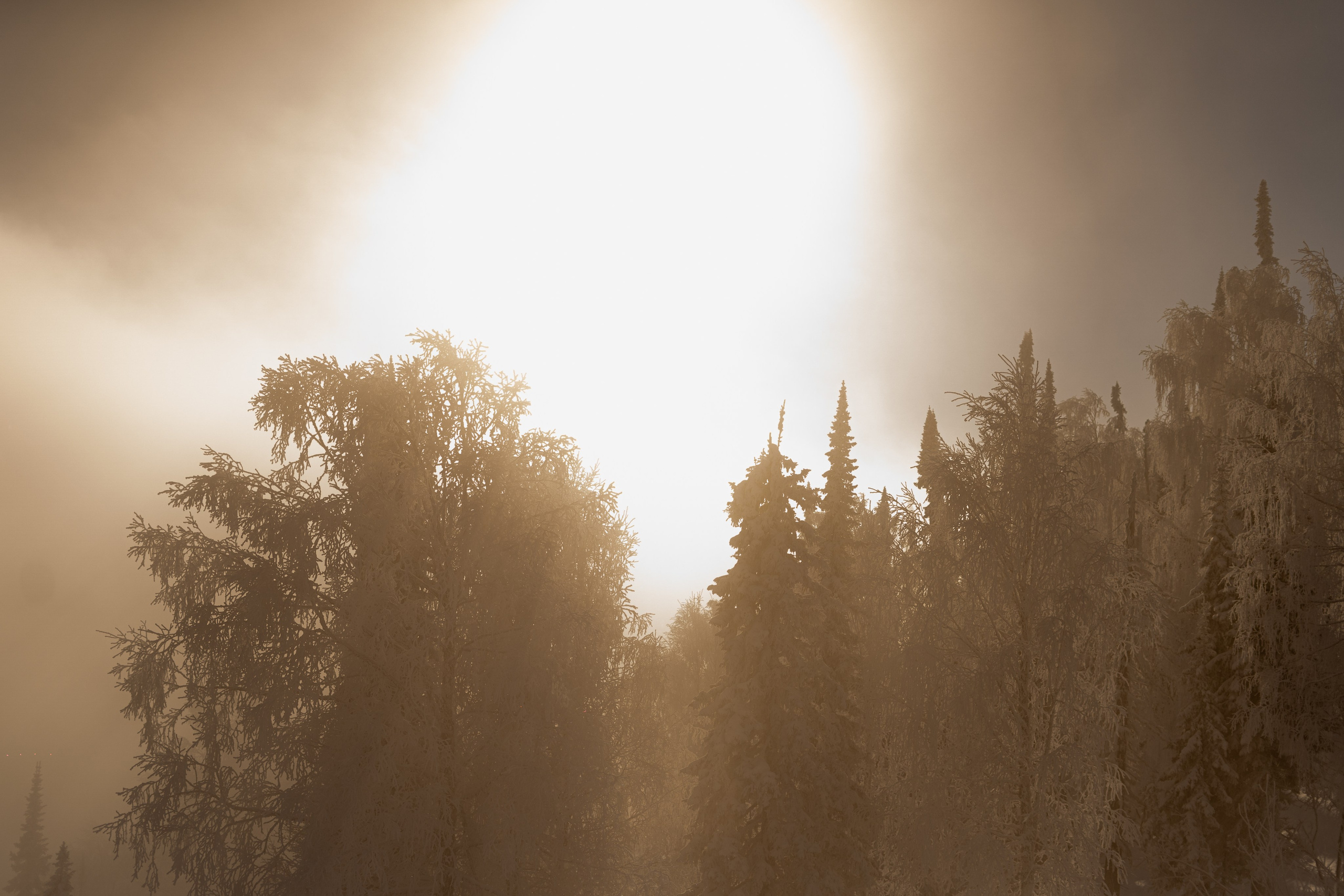 Джой 6.12. Анастасия Паршукова — фотограф Шерегеш Новосибирск