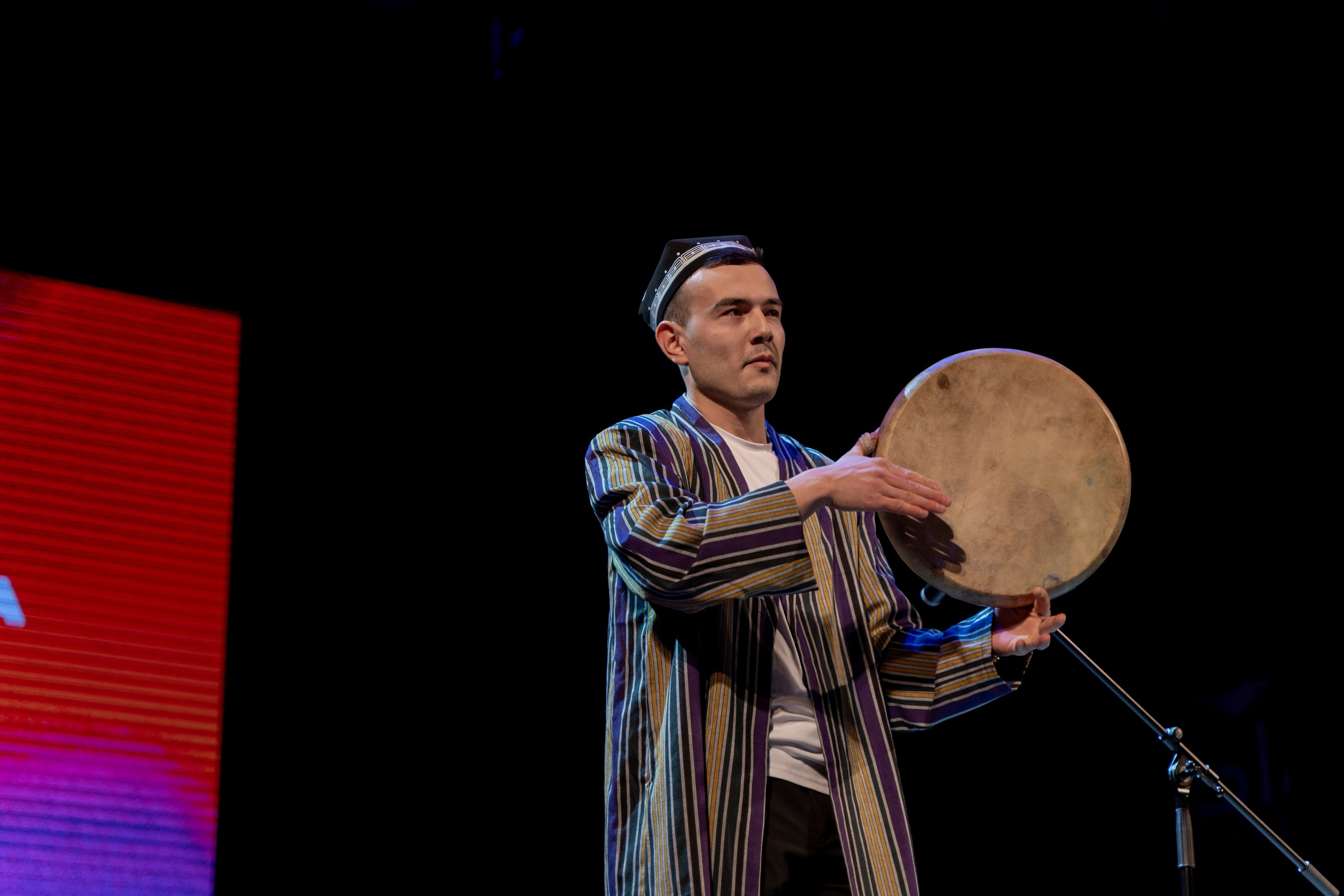 Фестиваль Студенческая весна 2025. Фотограф Надежда Погребняк | Рязань | Москва