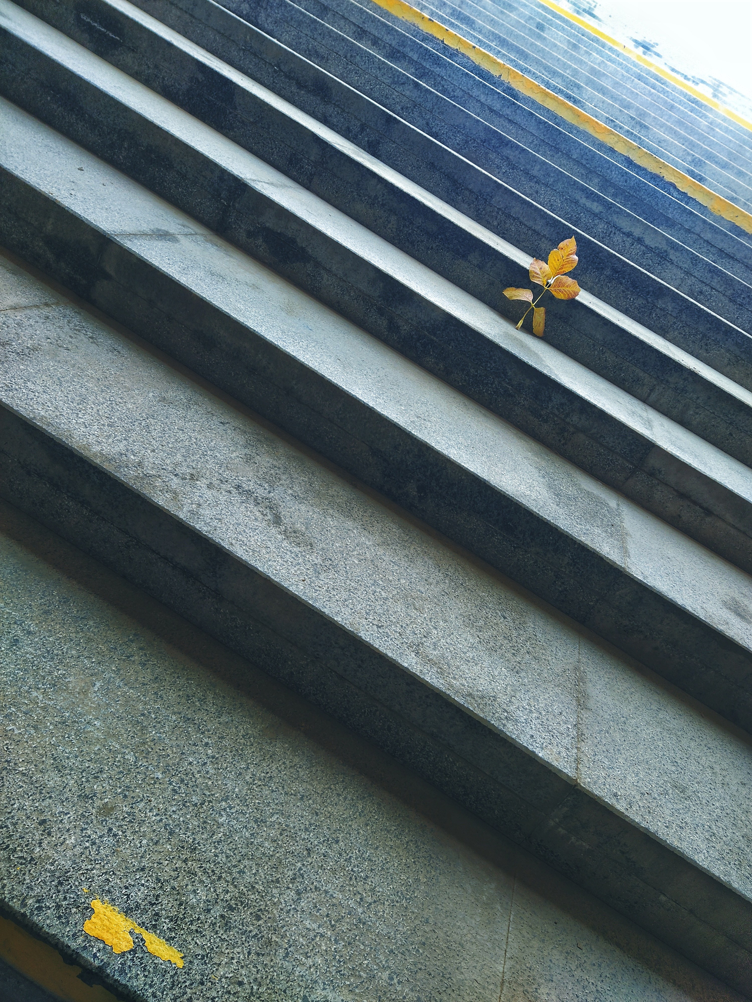 Бесшумная фотография. Tatyana Mazok творческий фотограф в Минске