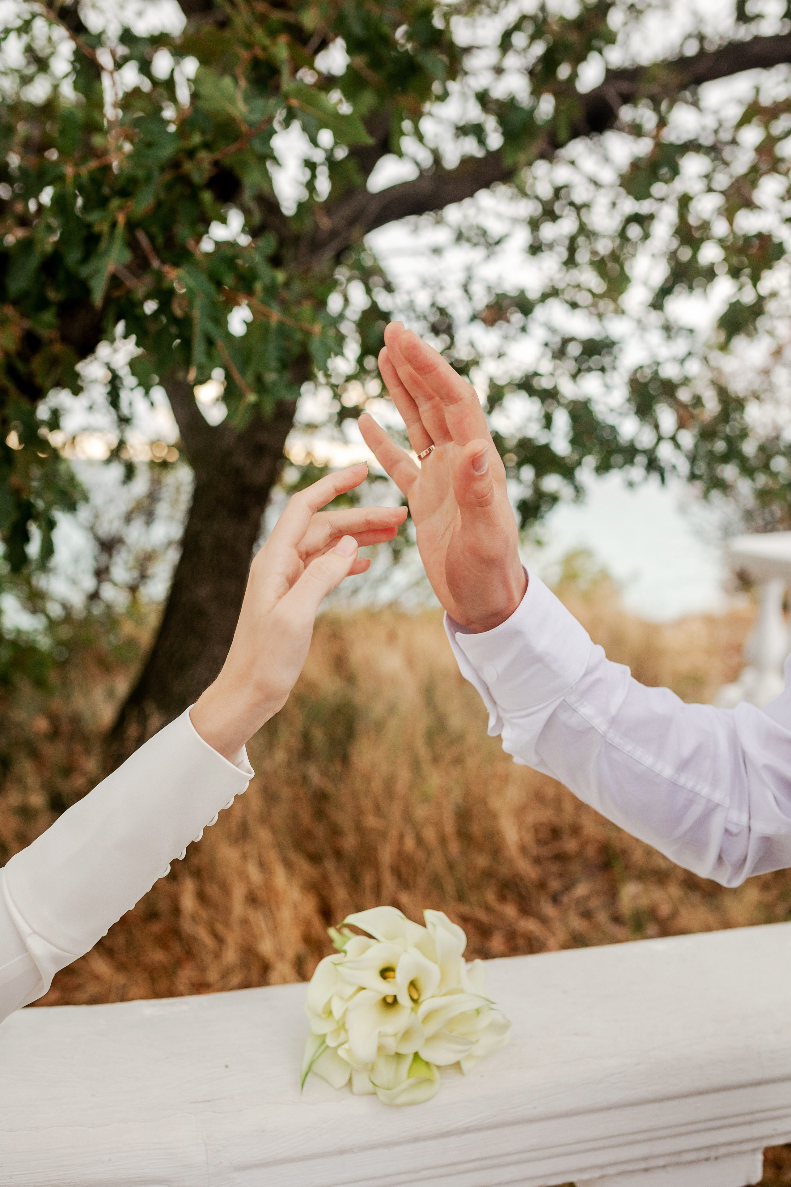 Анастасия и Владимир. Фотограф в Геленджике, Архипо-Осиповке, Абрау-Дюрсо, Кринице Виктория
