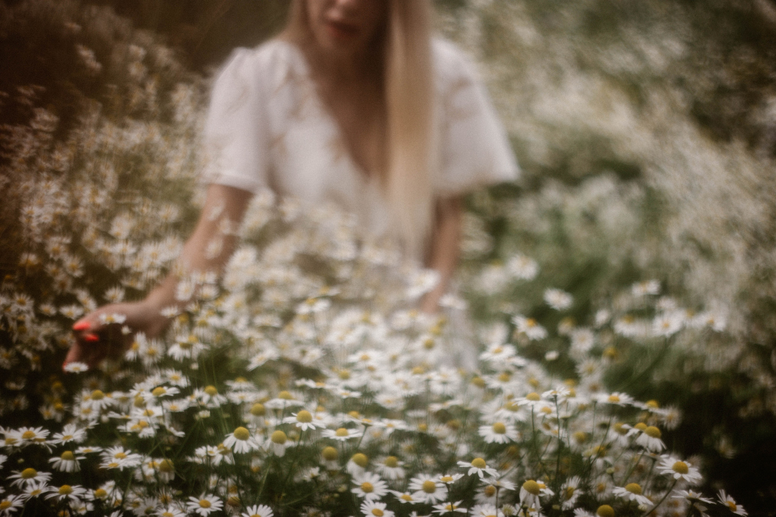 Надя в ромашках. Фотограф в Нижнем Новгороде