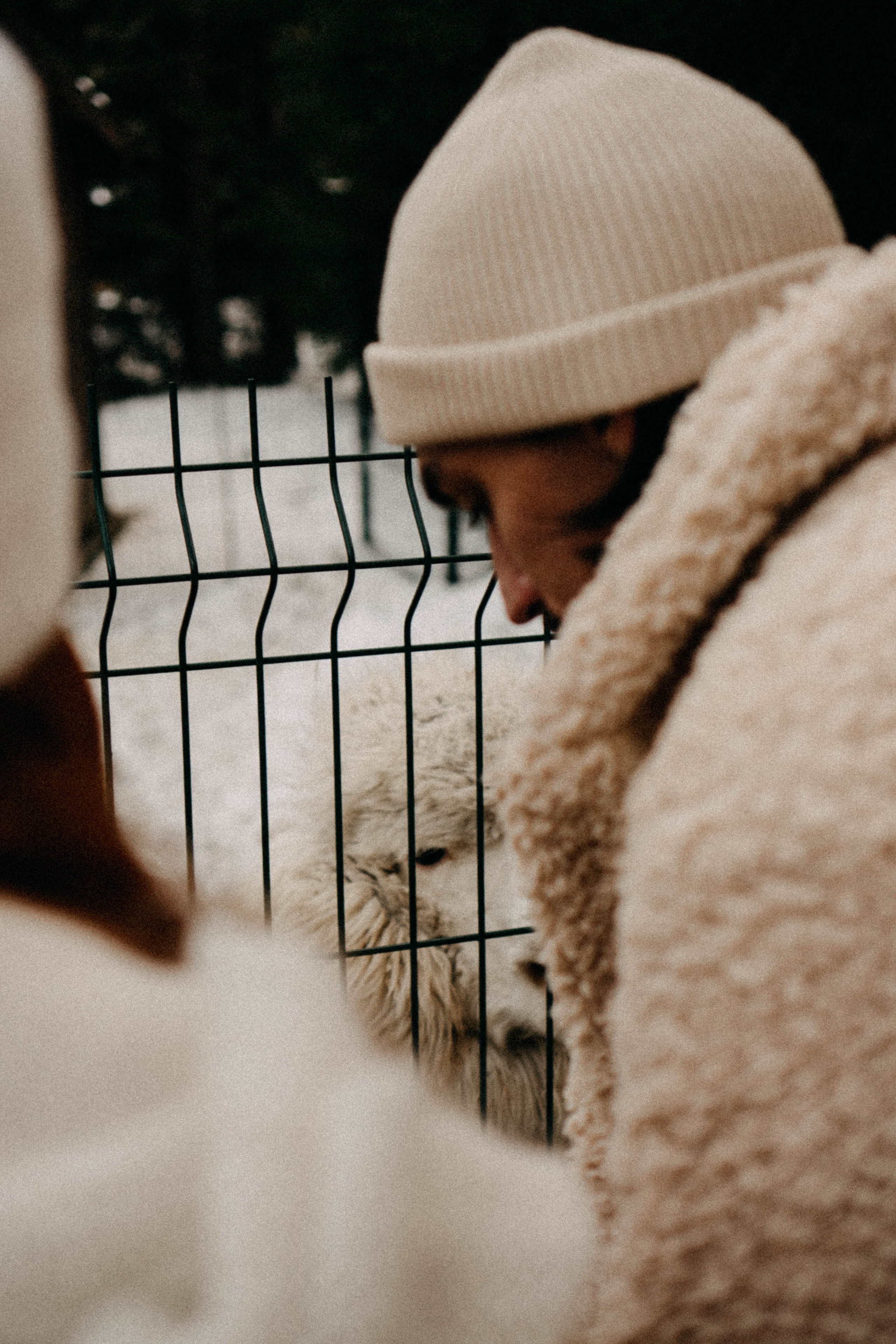 Каток. Профессиональный фотограф, Санкт-Петербург — Виктория Богомолова