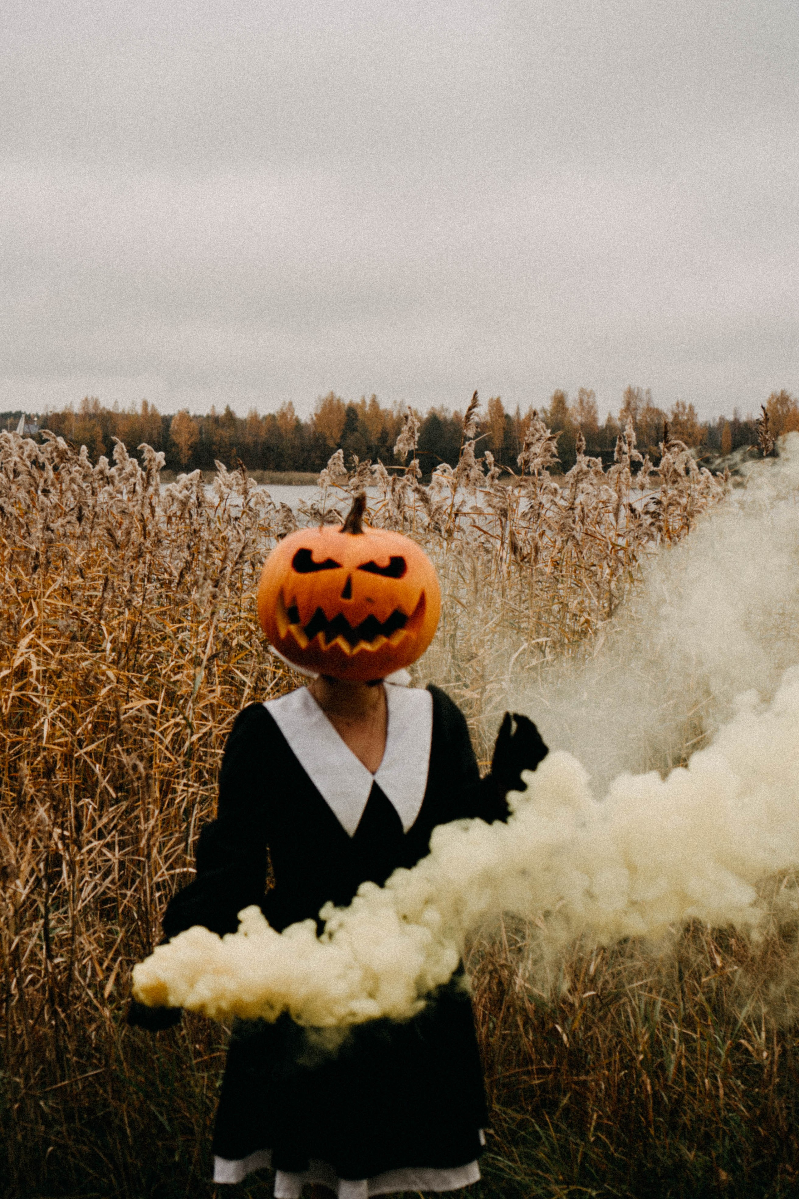 Осеняя. Профессиональный фотограф, Санкт-Петербург — Виктория Богомолова