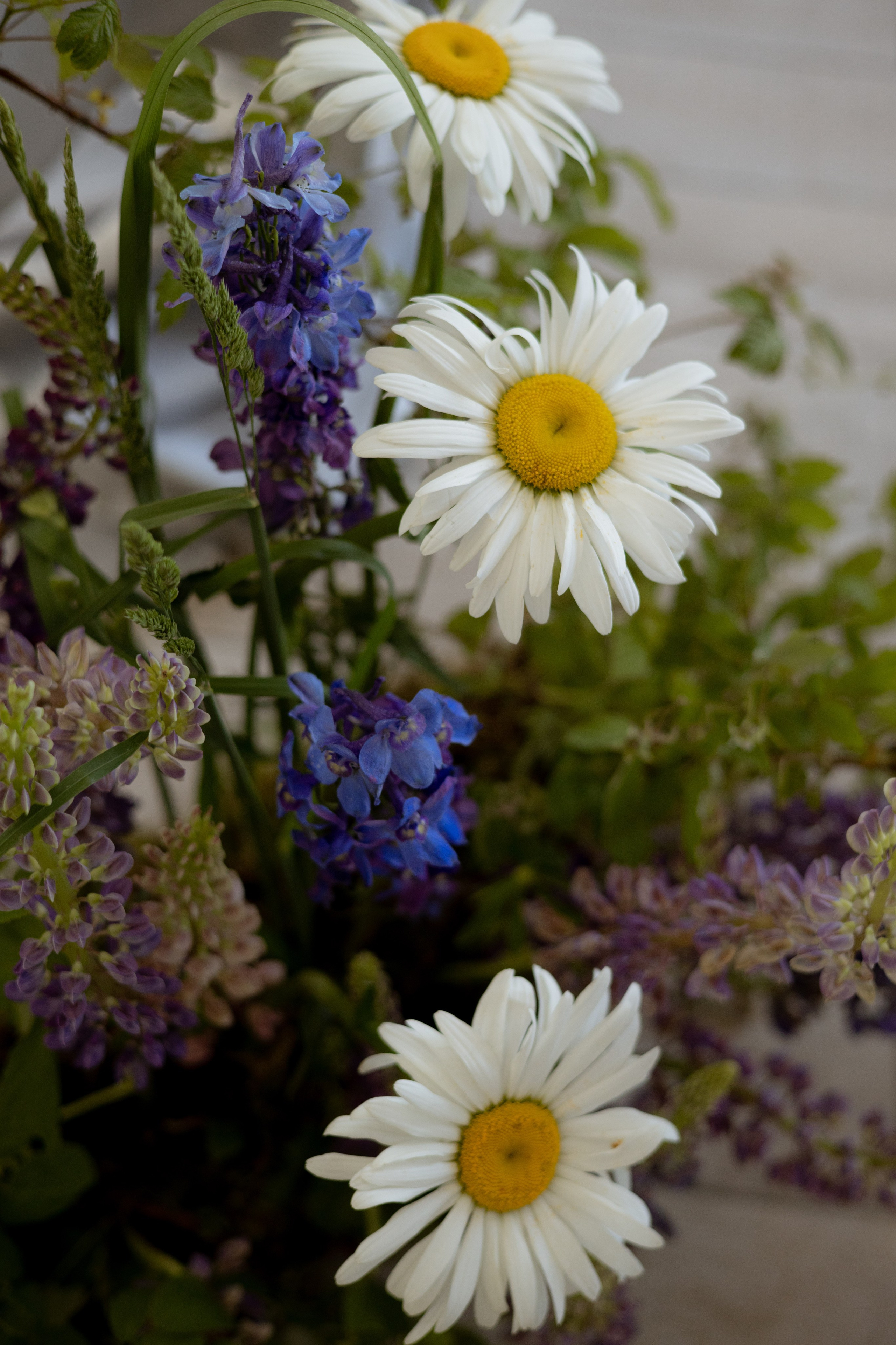 «Московское небо». Оформление свадеб, декор свадеб Вера Маркова, Москва