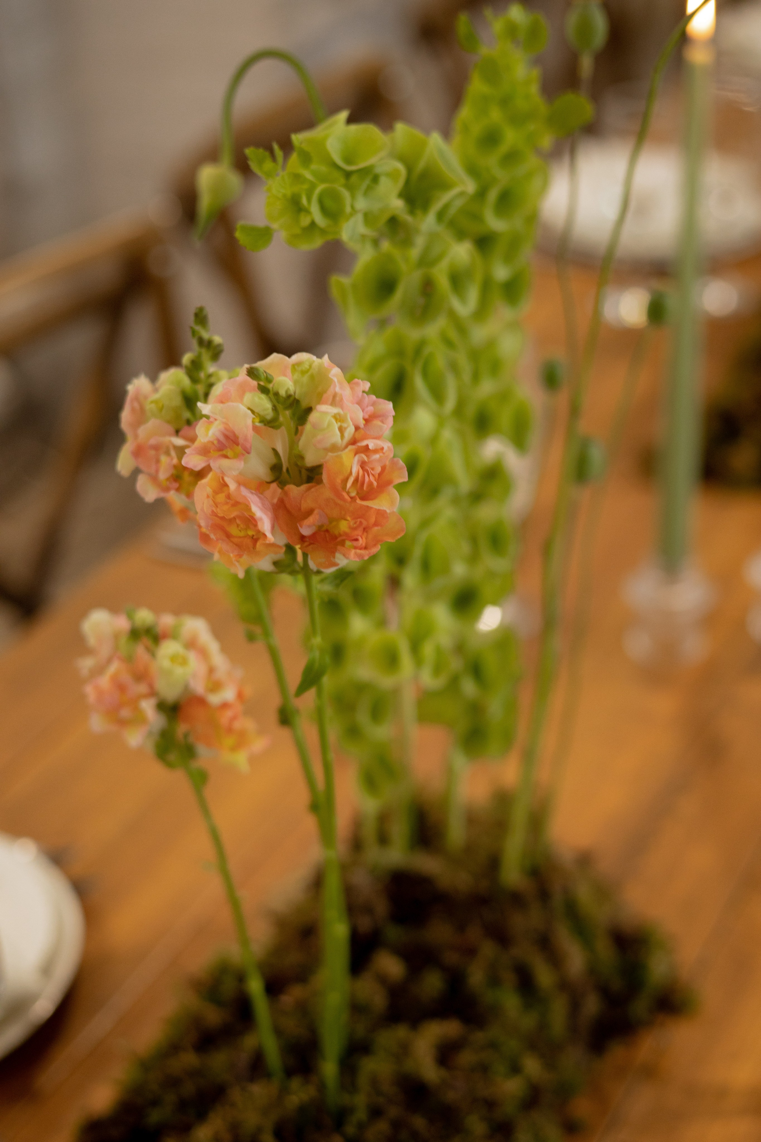 Никита & Катя. Оформление свадеб, декор свадеб Вера Маркова, Москва