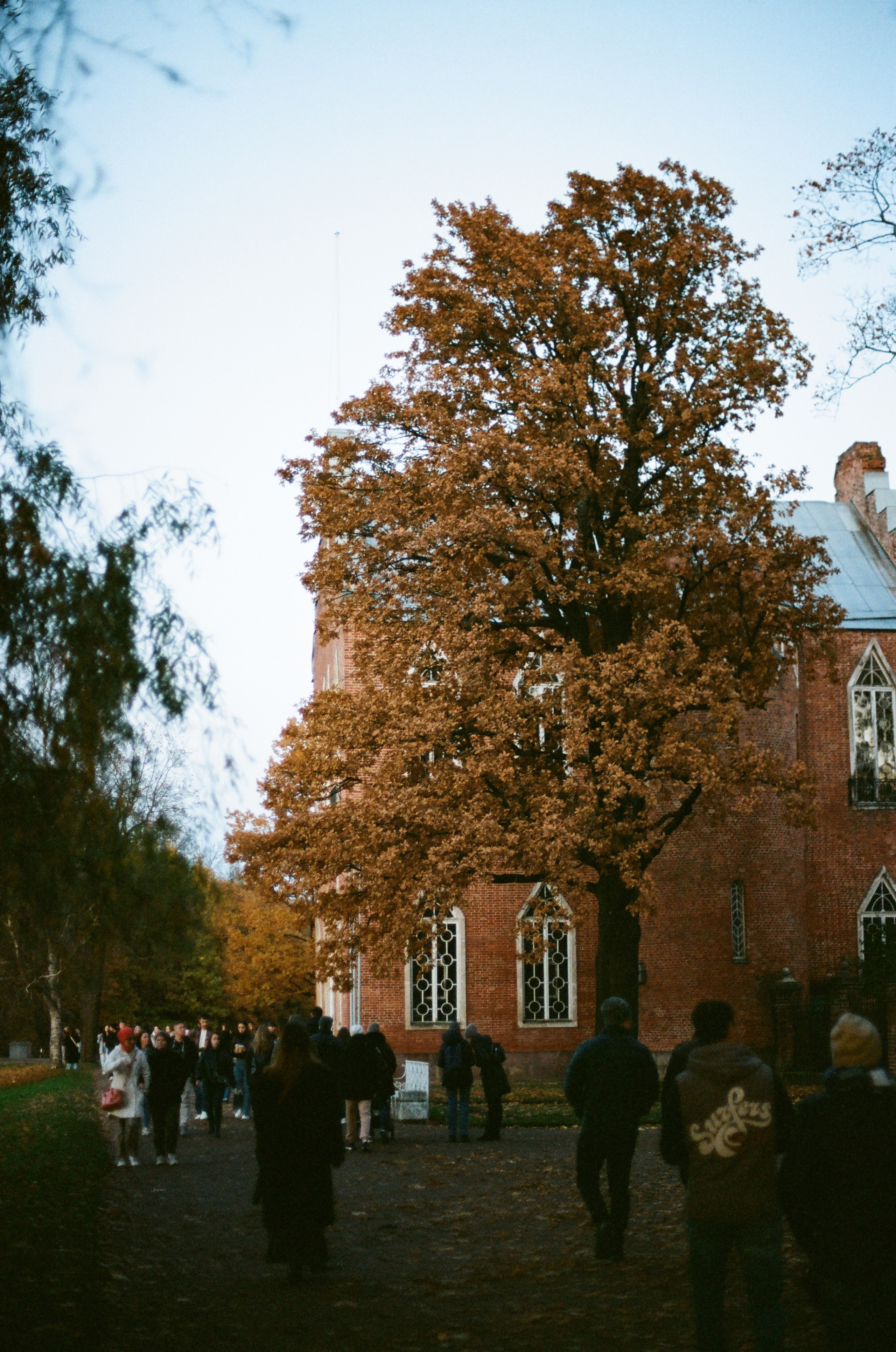 Осень в Пушкине. Андрей Цветков — репортажный, свадебный и портретный фотограф в Санкт-Петербурге