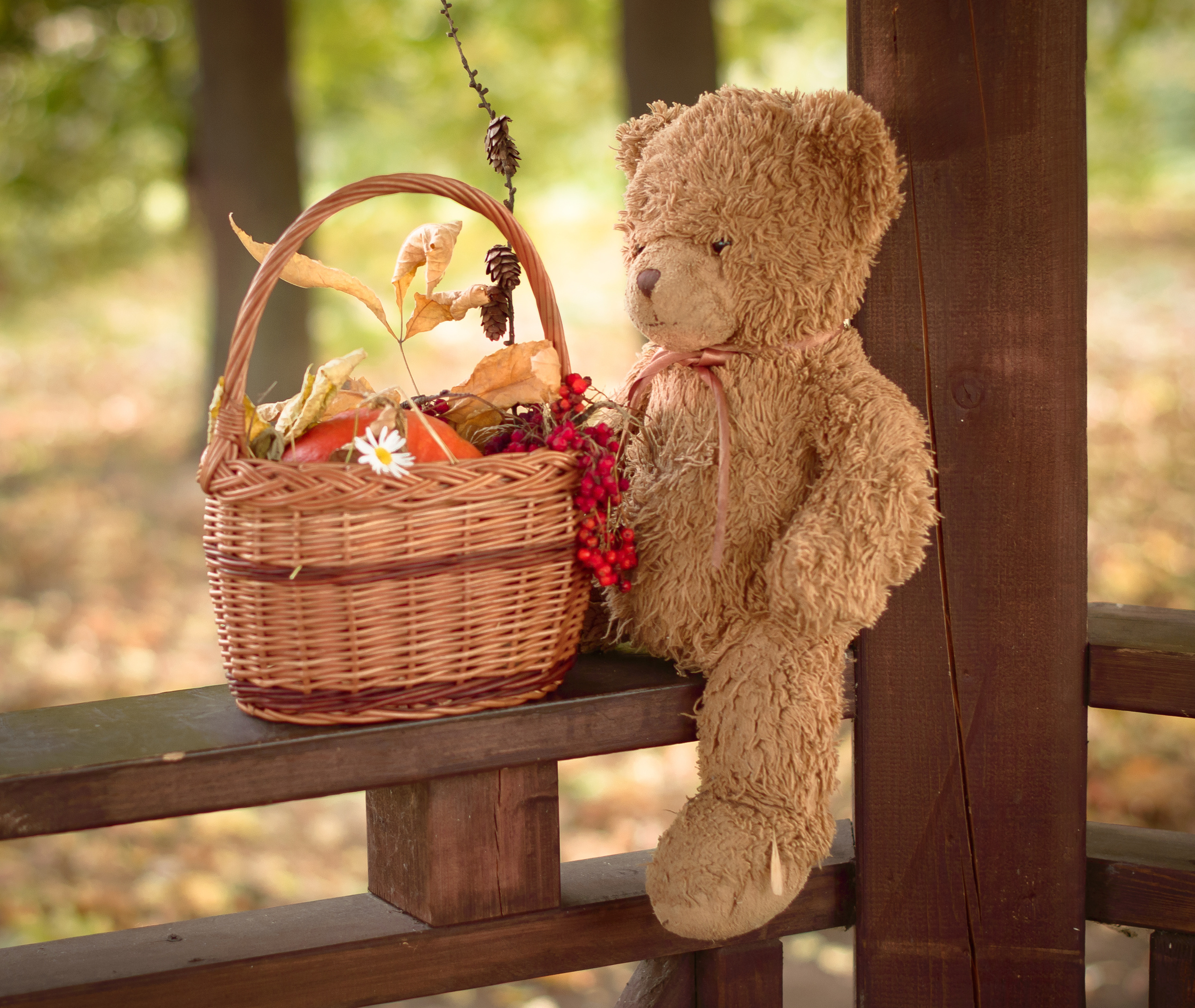 ОСЕНЬ. Кристина Кудрявцева Фотограф в Москве