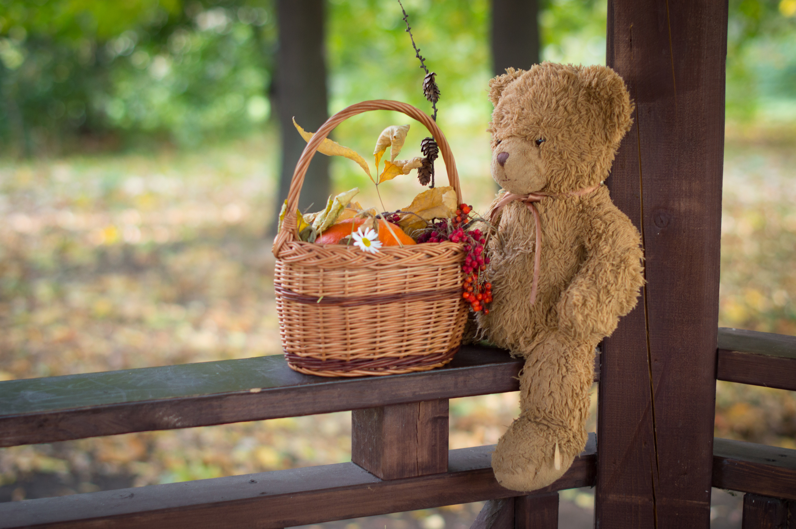 ОСЕНЬ. Кристина Кудрявцева Фотограф в Москве