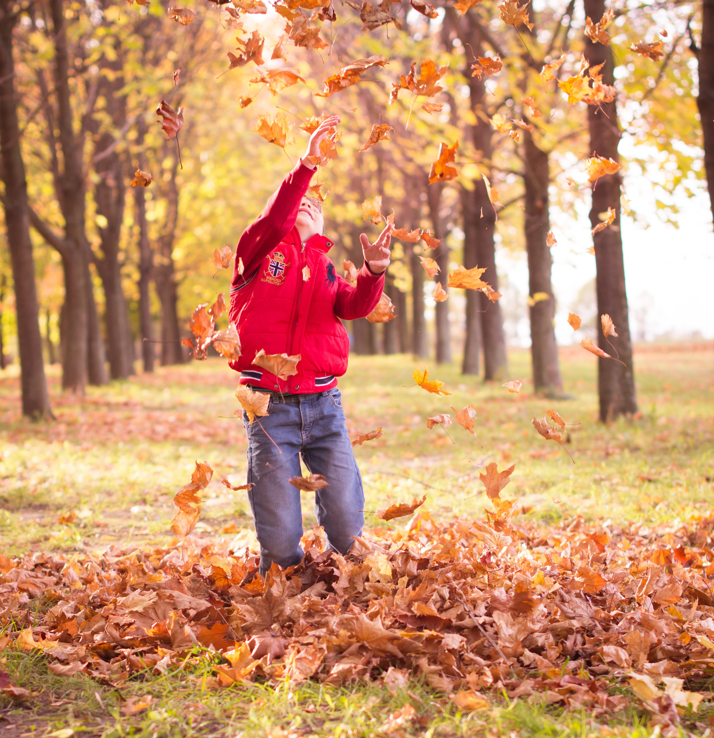 ОСЕНЬ. Кристина Кудрявцева Фотограф в Москве