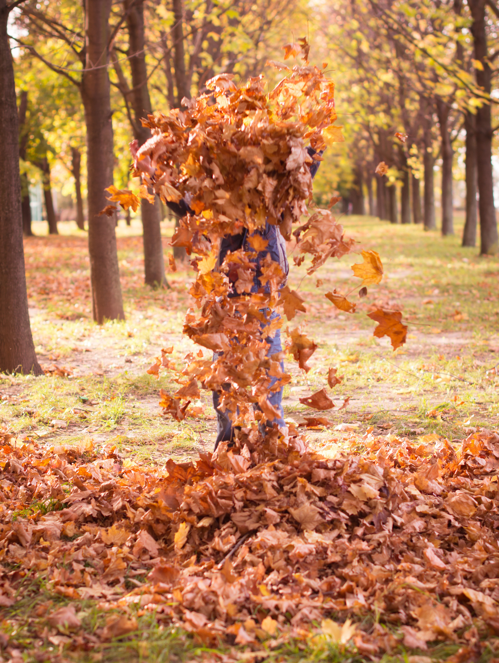 ОСЕНЬ. Кристина Кудрявцева Фотограф в Москве