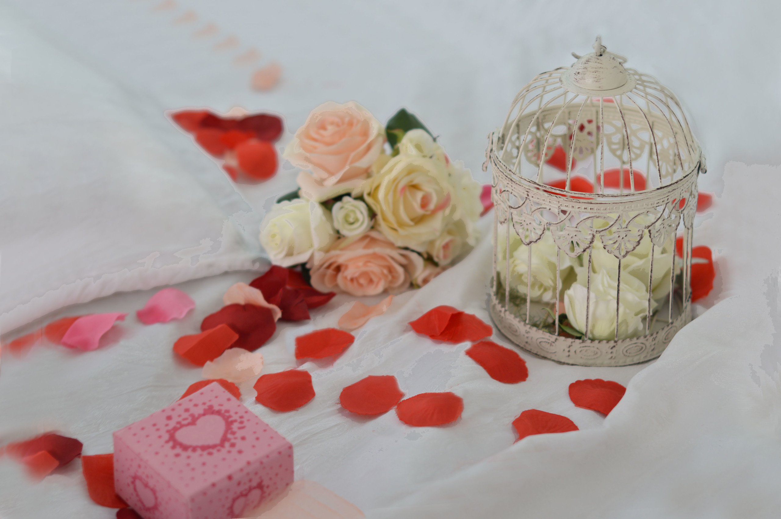 В ОЖИДАНИИ .... Кристина Кудрявцева Фотограф в Москве