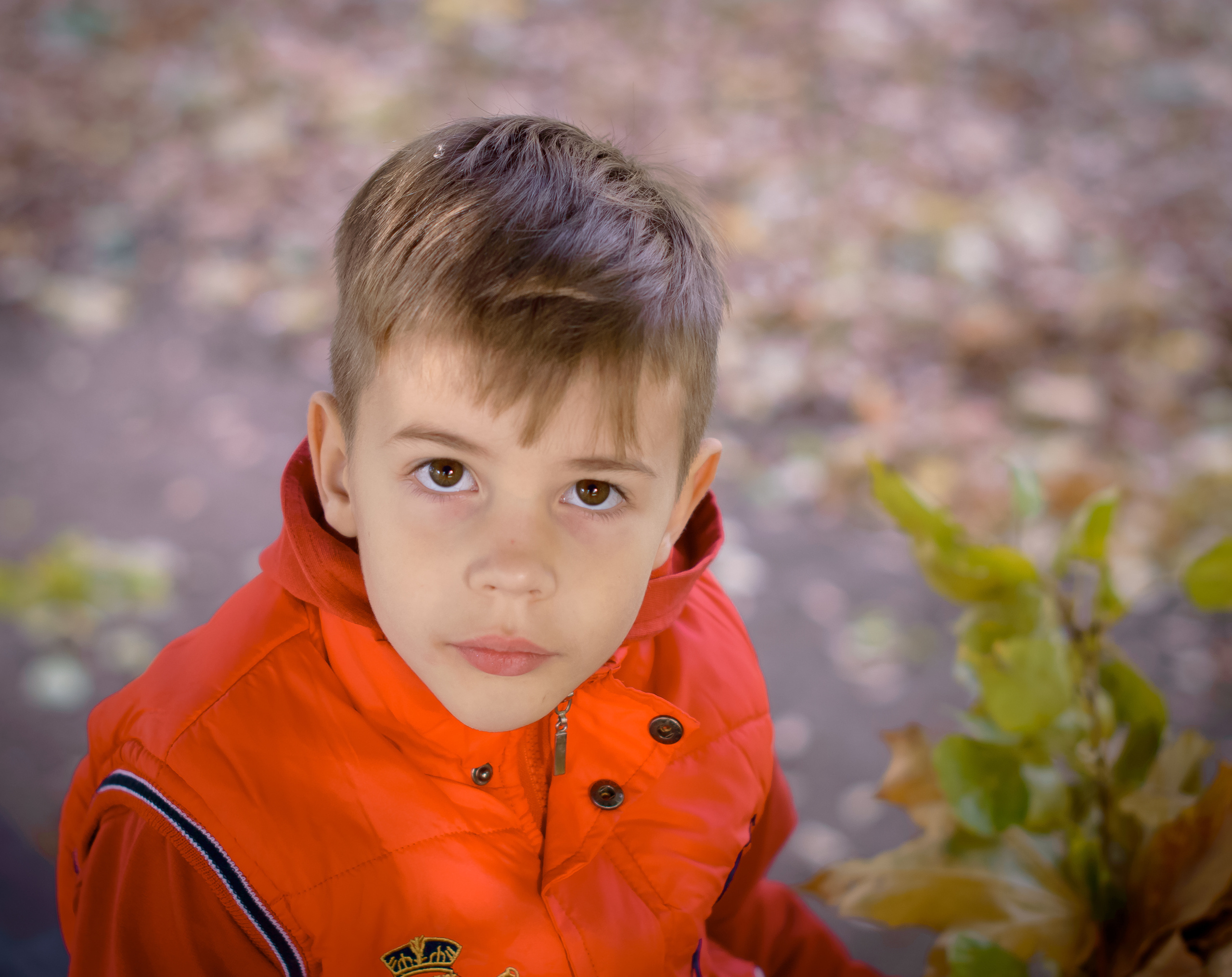 ОСЕНЬ. Кристина Кудрявцева Фотограф в Москве