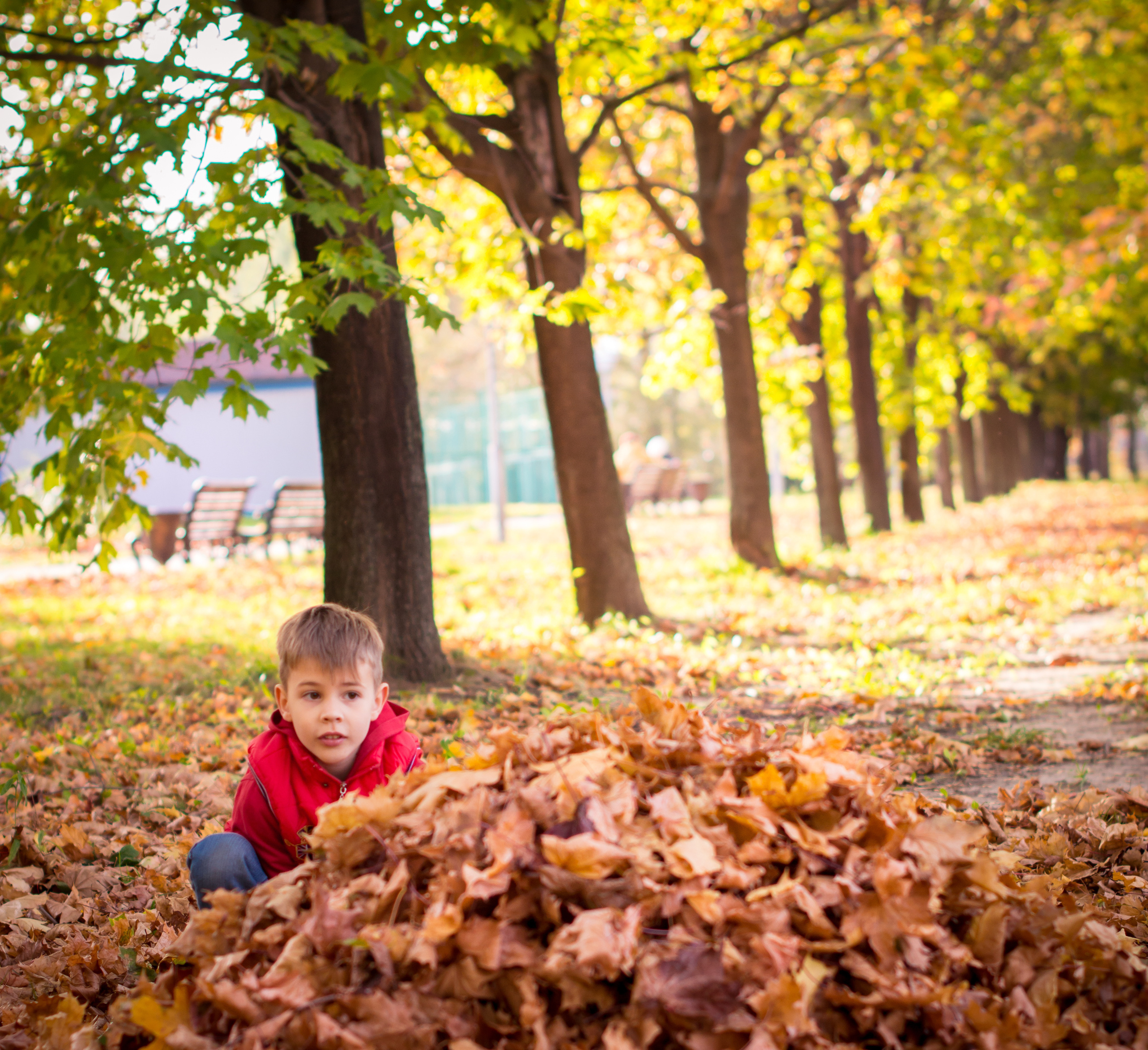 ОСЕНЬ. Кристина Кудрявцева Фотограф в Москве