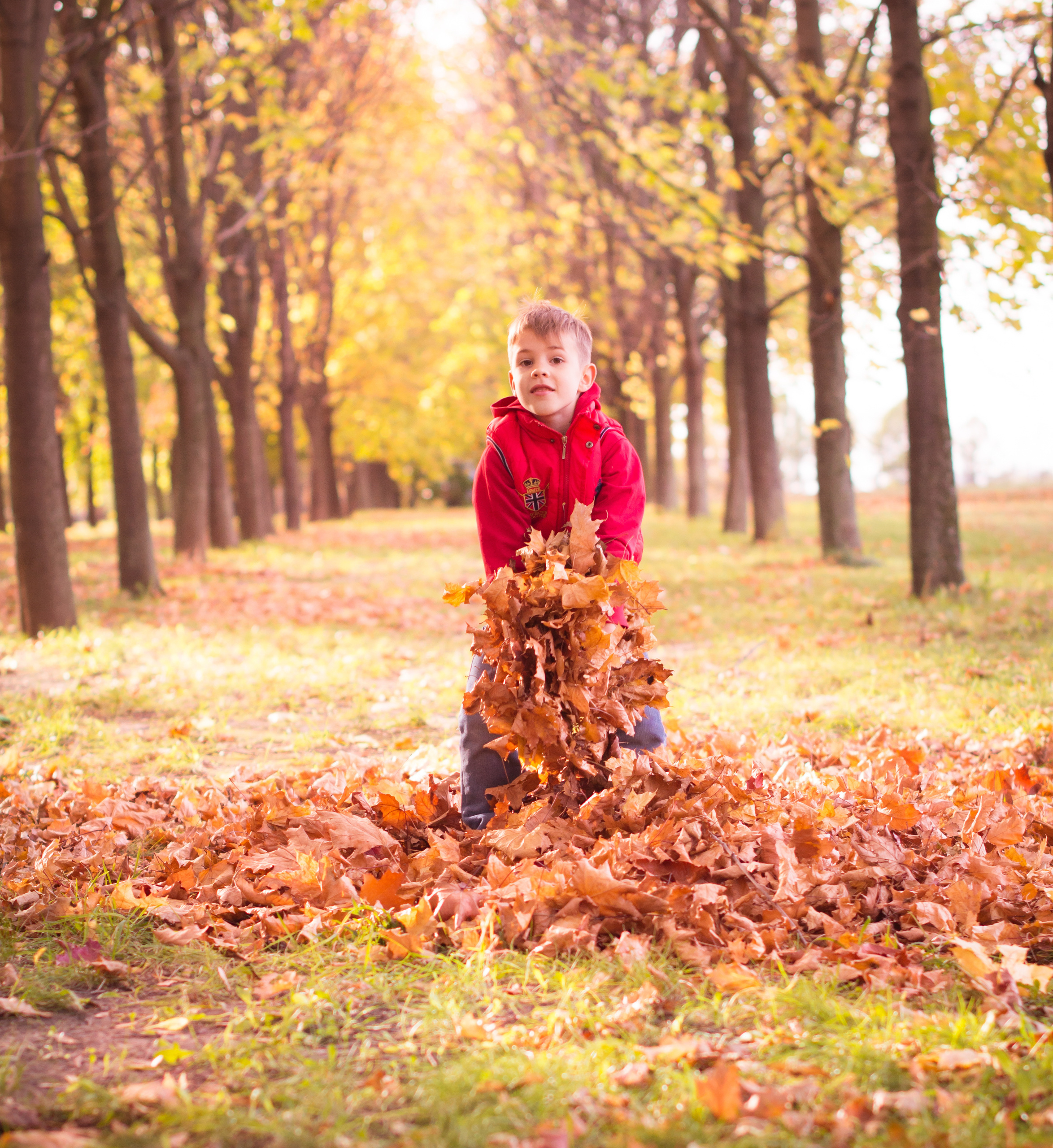 ОСЕНЬ. Кристина Кудрявцева Фотограф в Москве