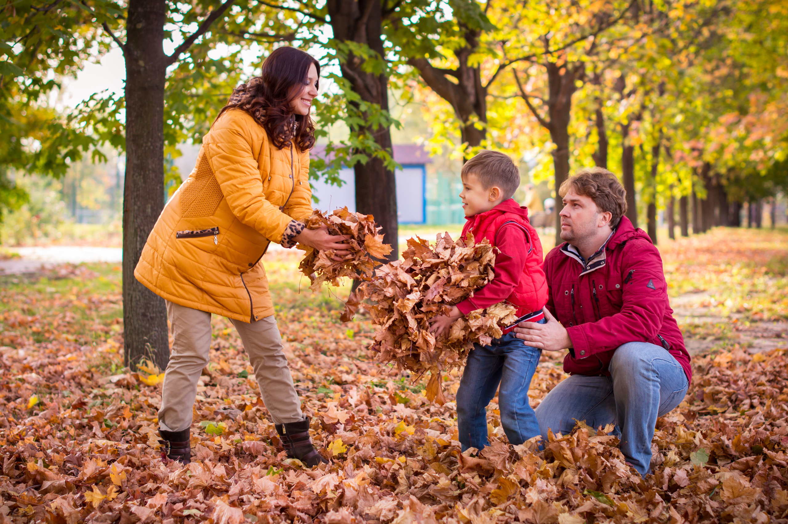 ОСЕНЬ. Кристина Кудрявцева Фотограф в Москве