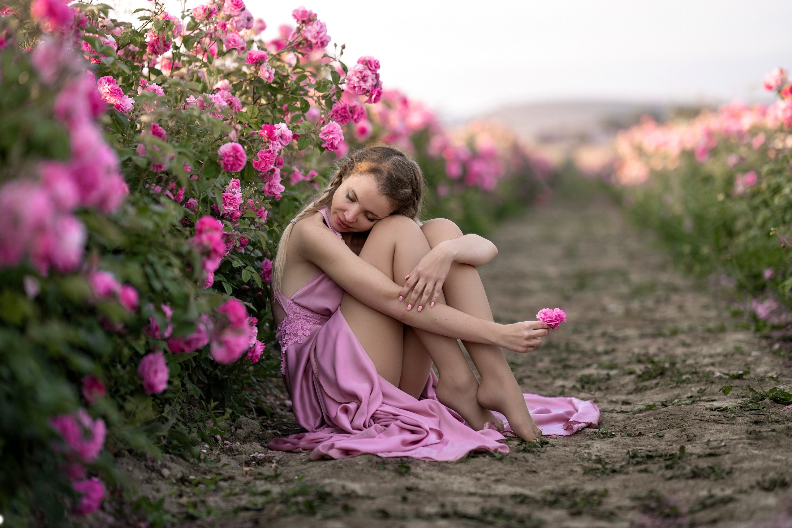 Розы. Фотограф в Крыму Лебедева Александра