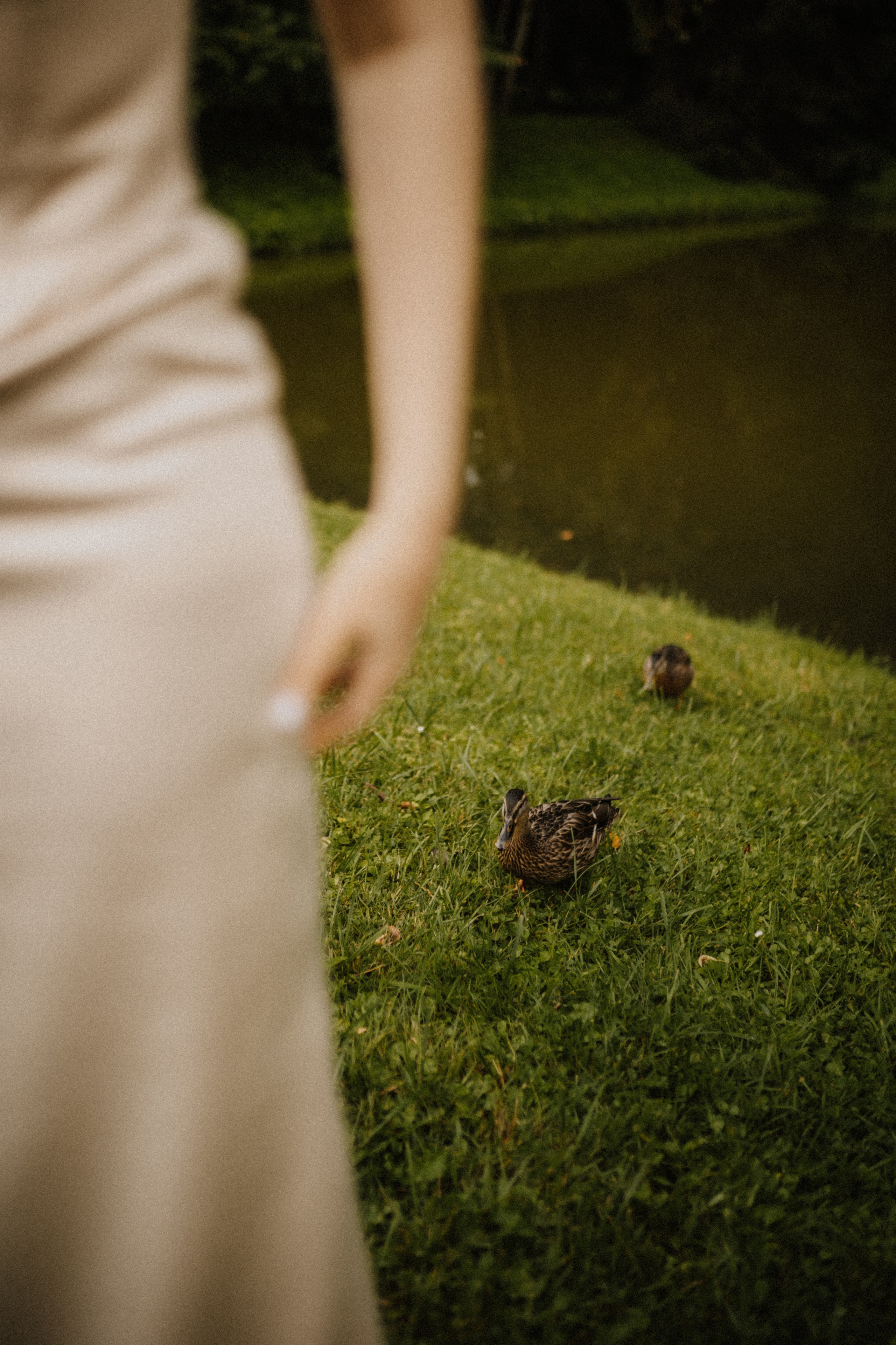 Артур и Вика | Просторно в твоем сердце. Свадебный фотограф в Санкт-Петербурге Анастасия Селиванова