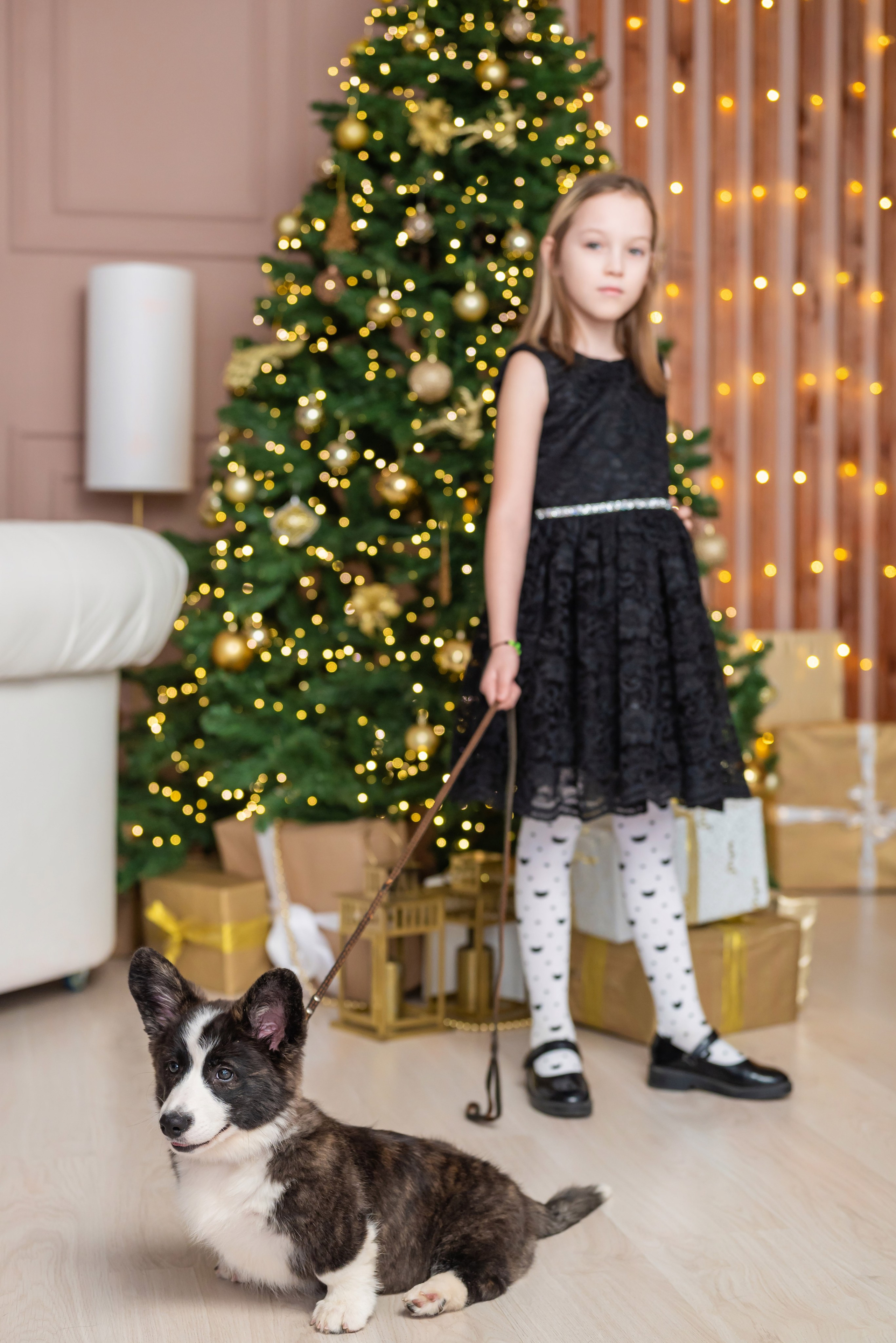 Фотопроект с корги. Фотограф в городе Салават