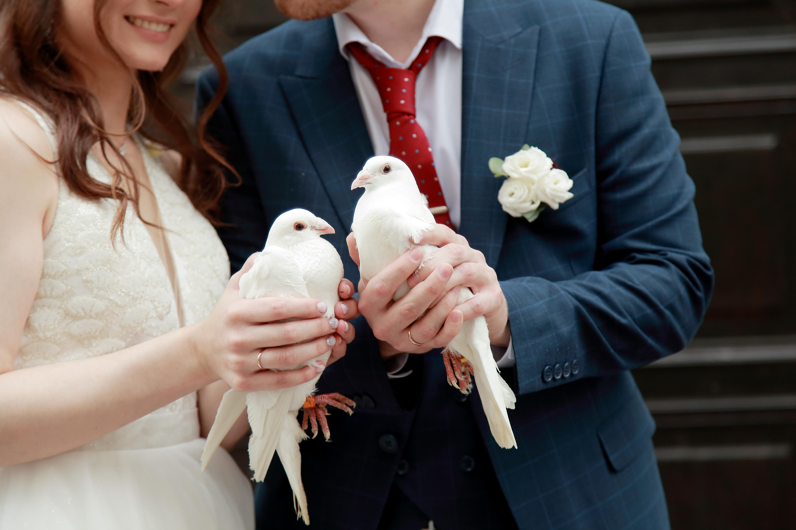 Денис и Ирина. Свадебный фотограф и видео оператор в Москве и области