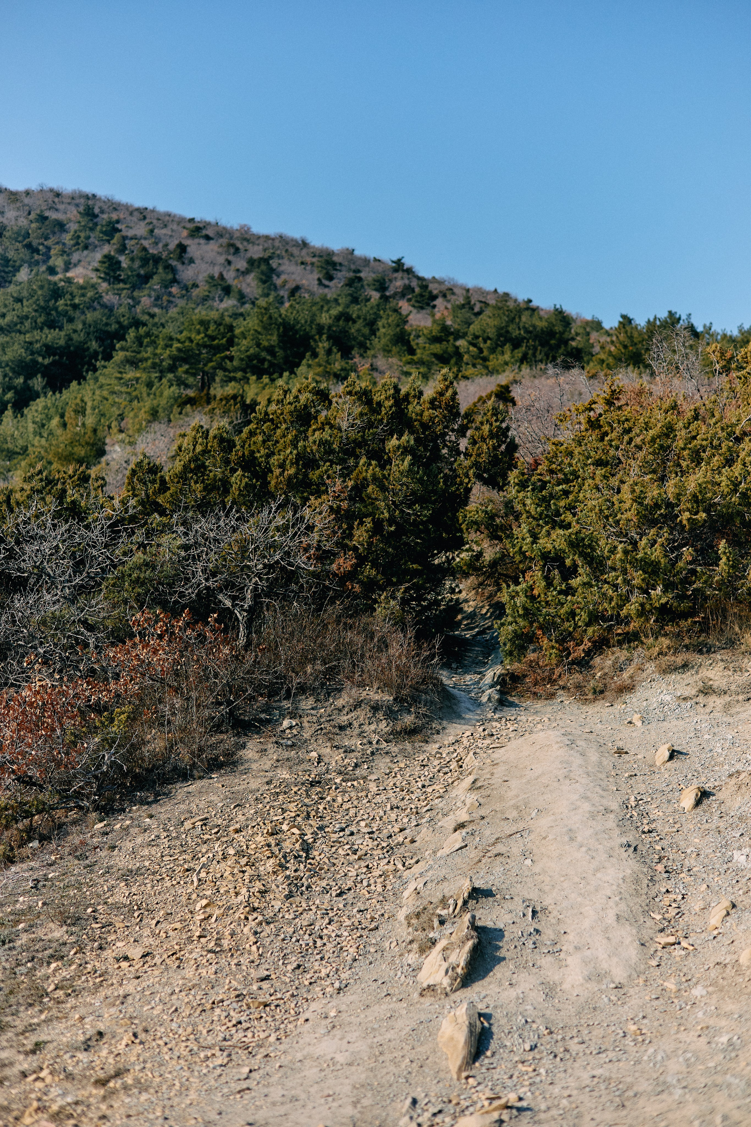 Юг России. Профессиональный Фотограф во Владимире, в Москве и в Суздале — Полина Романычева