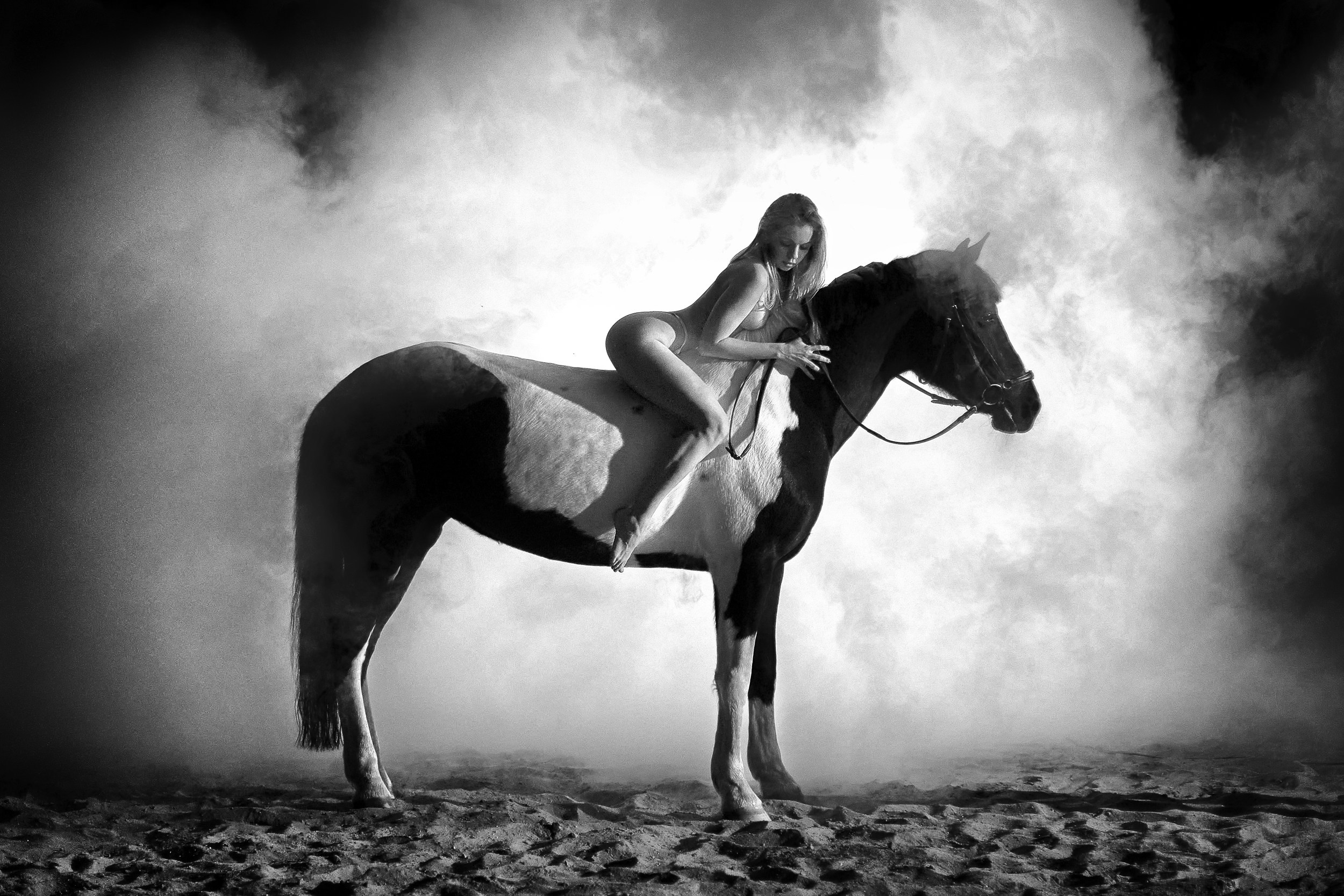 Фотосессия с лошадьми, Фотограф Михаил Семенов г. Ярославль