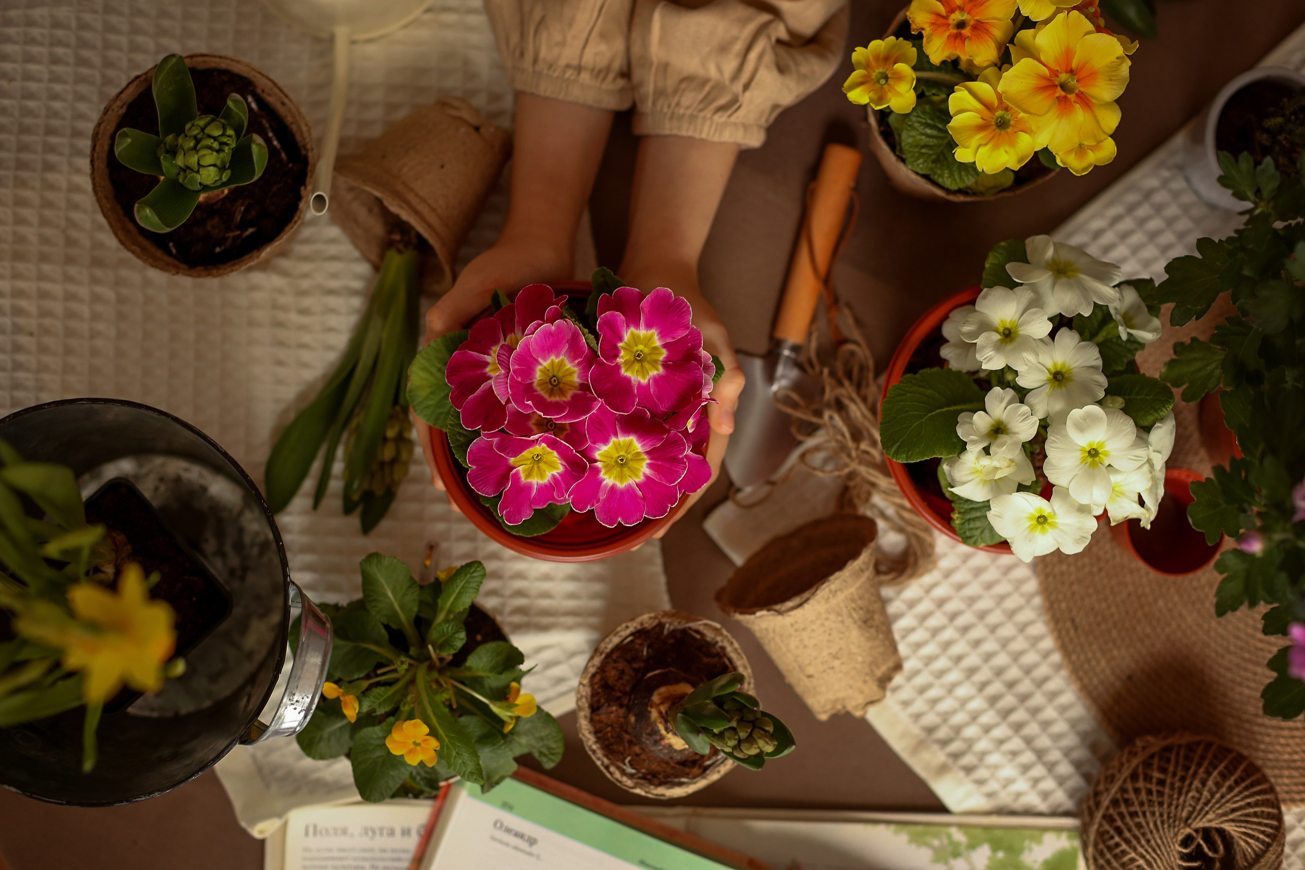 Садовницы. Фотограф Ульянкина Мария