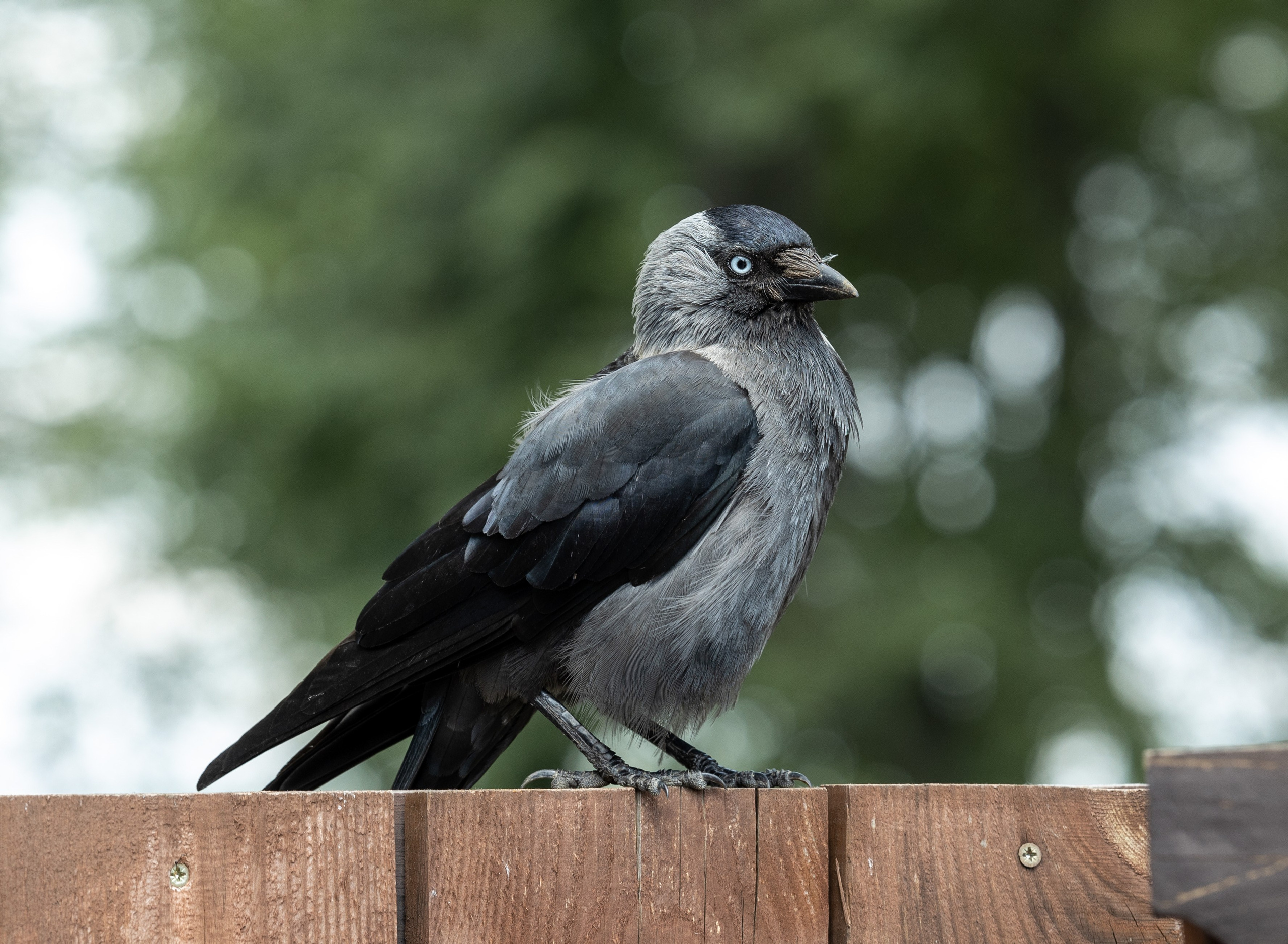 Природные пейзажи. Наталия Клевинскас портретный фотограф в Костроме