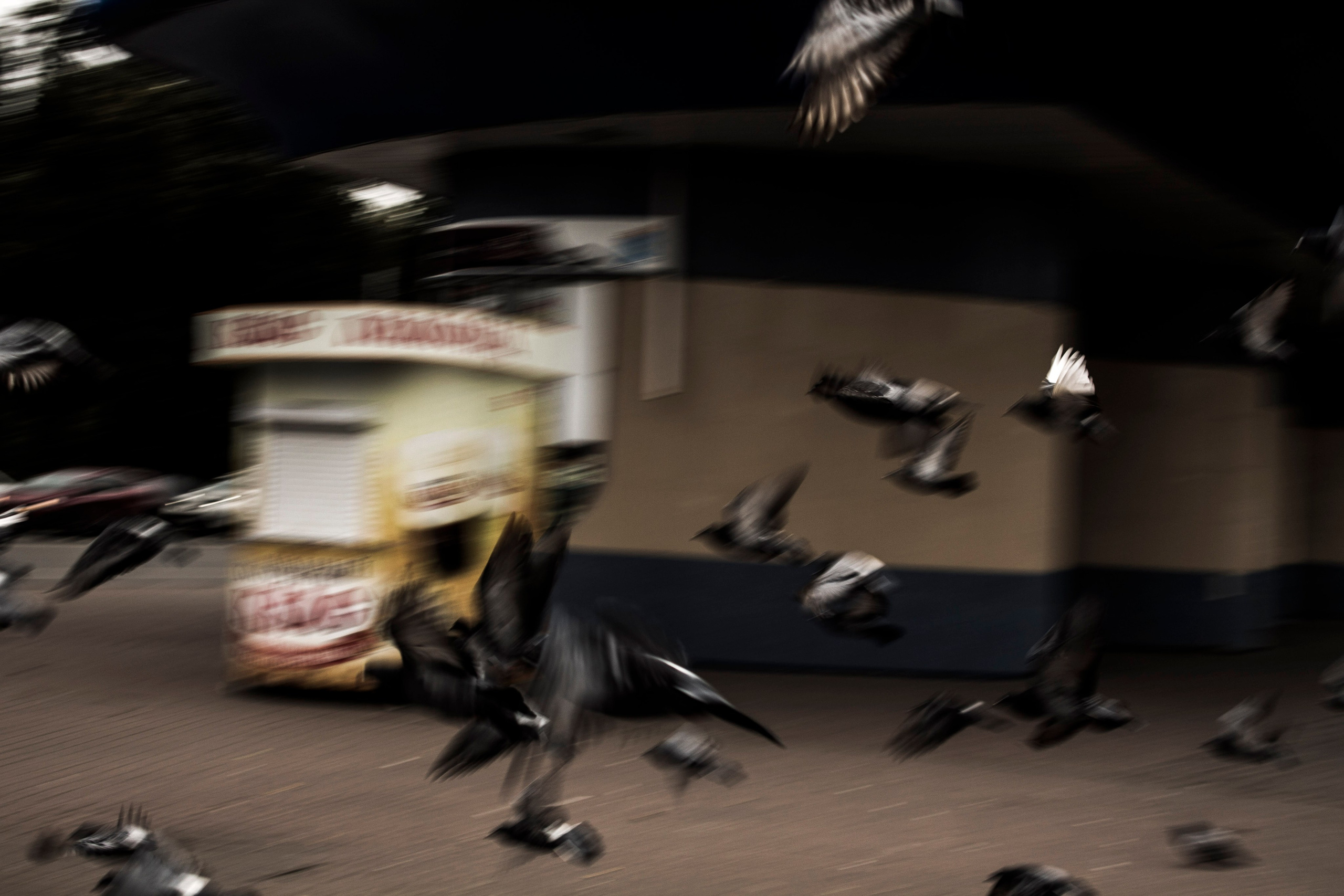 Мои первые работы. Фотограф из Москвы — DASHA NOVA | Авторская фотография в разных жанрах