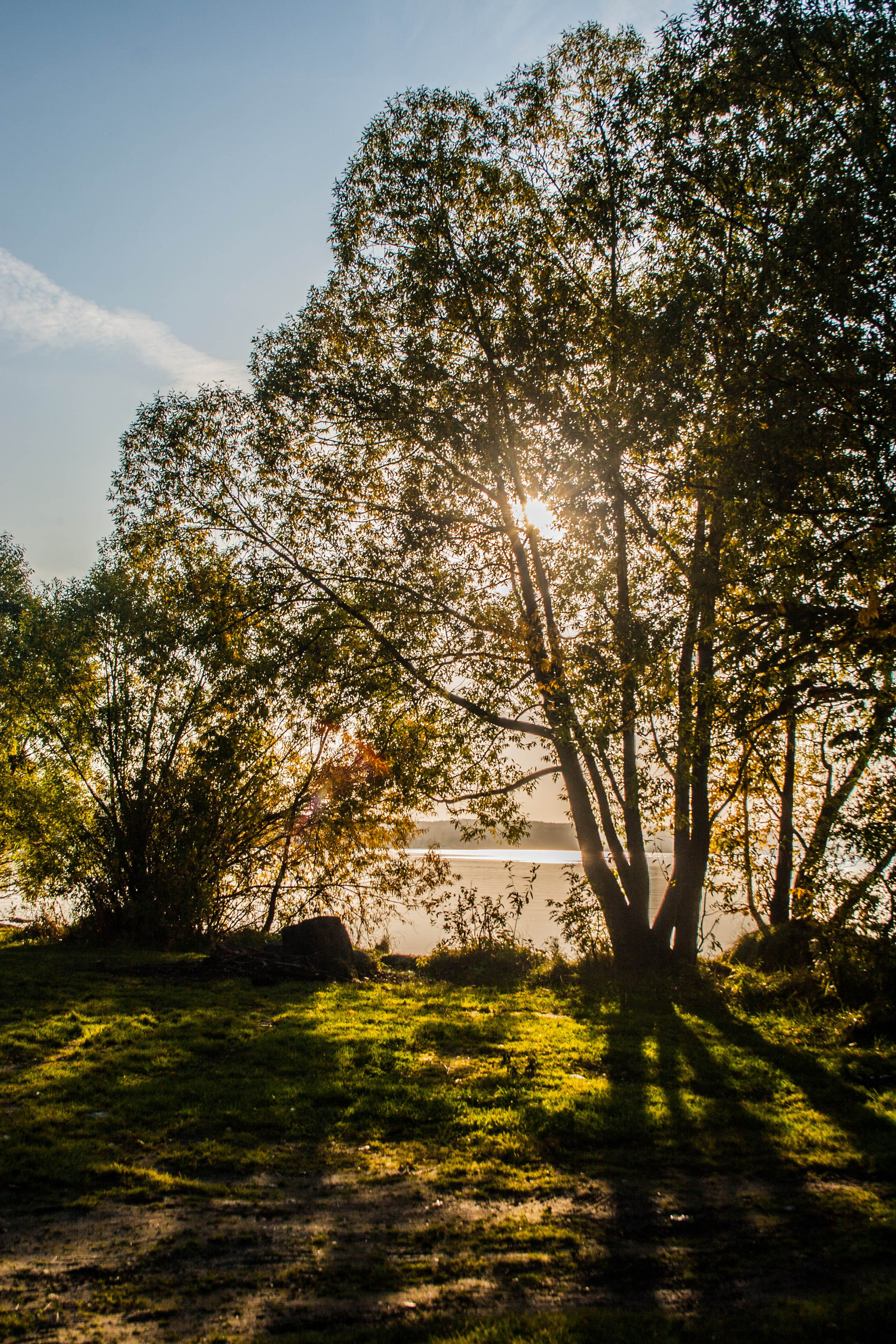 Природа. Главная