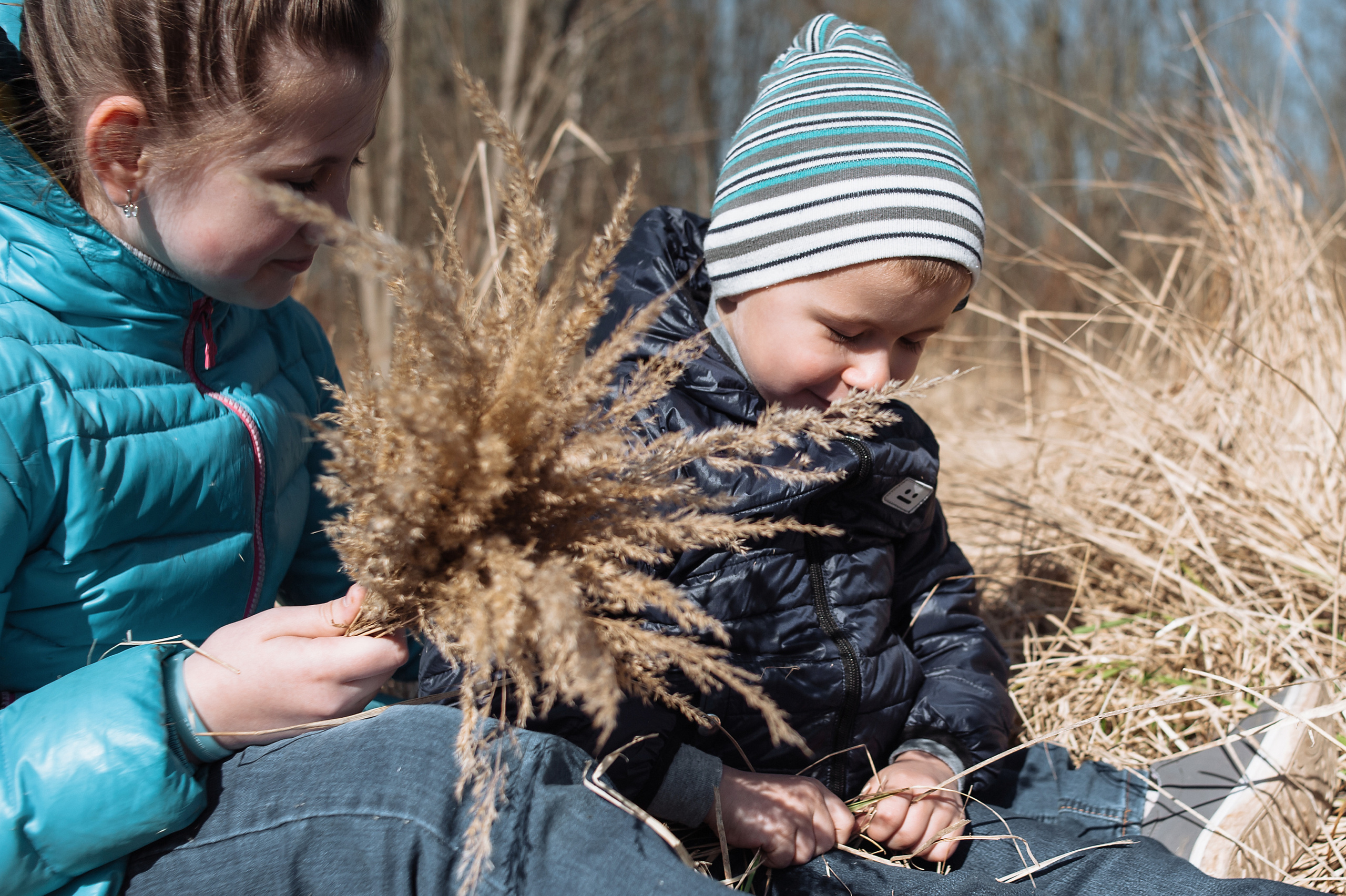 Фотосессии семья Шаховская
