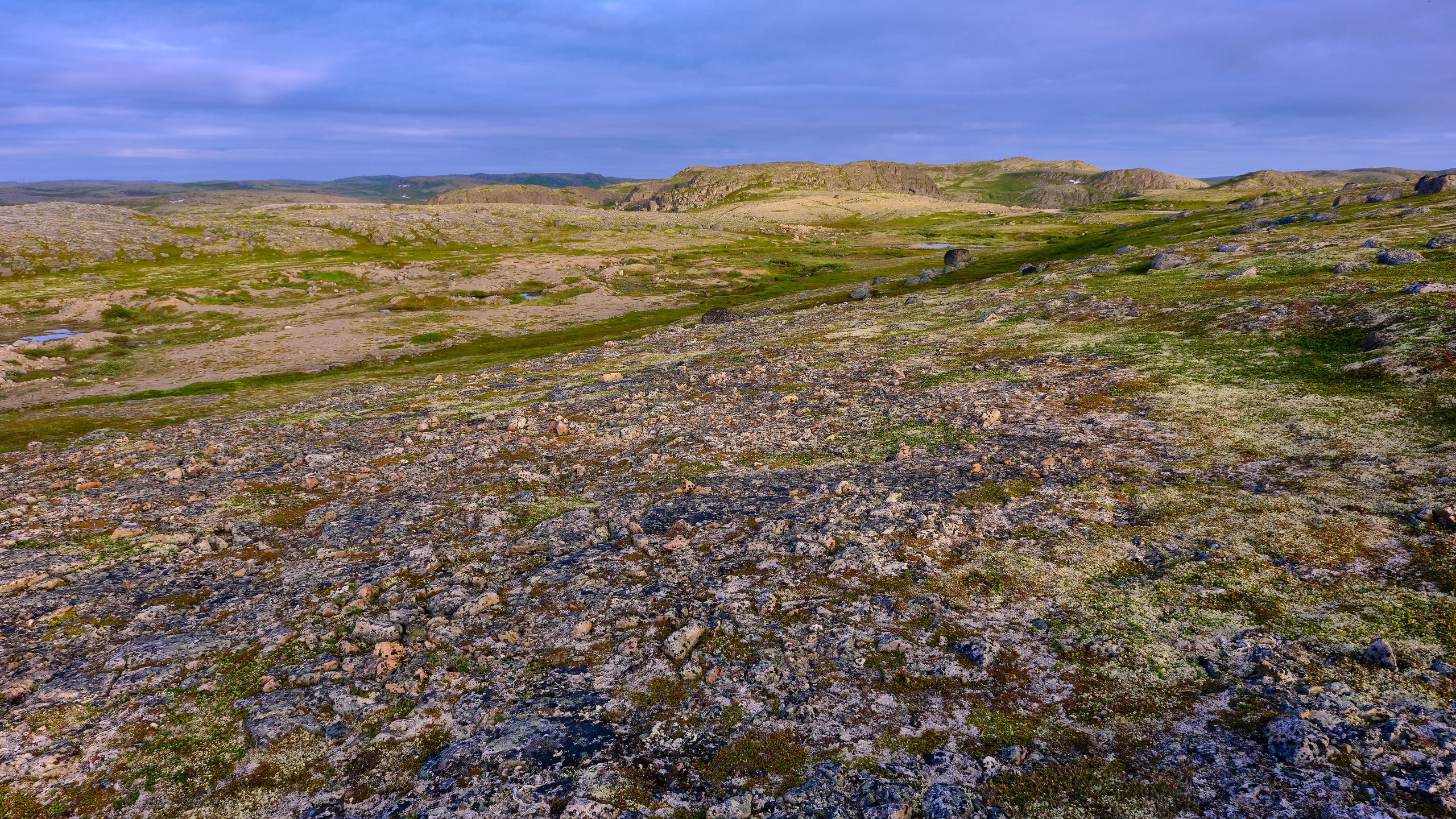 Тундра Лес и Сопки. Пейзажи Крайнего Севера. Баренцево море, Рыбачий, Средний, Немецкий