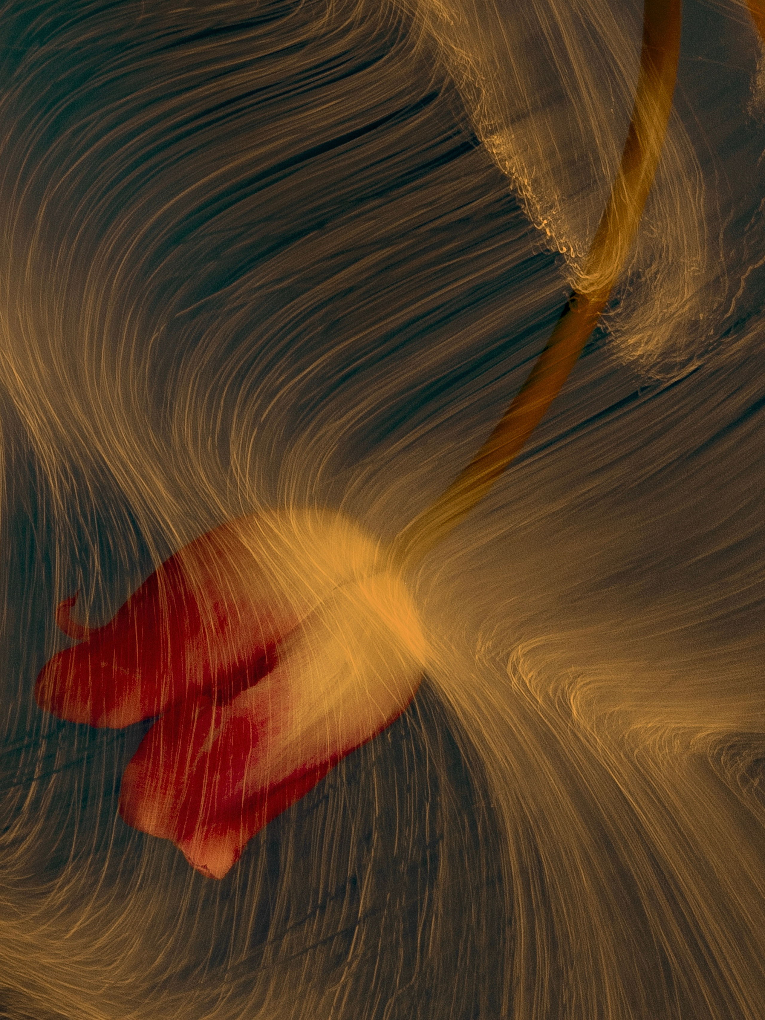 Световой дневник. Поиск неочевидного. ElizabetArt — фотограф в Воронеже Елизавета Хлусова