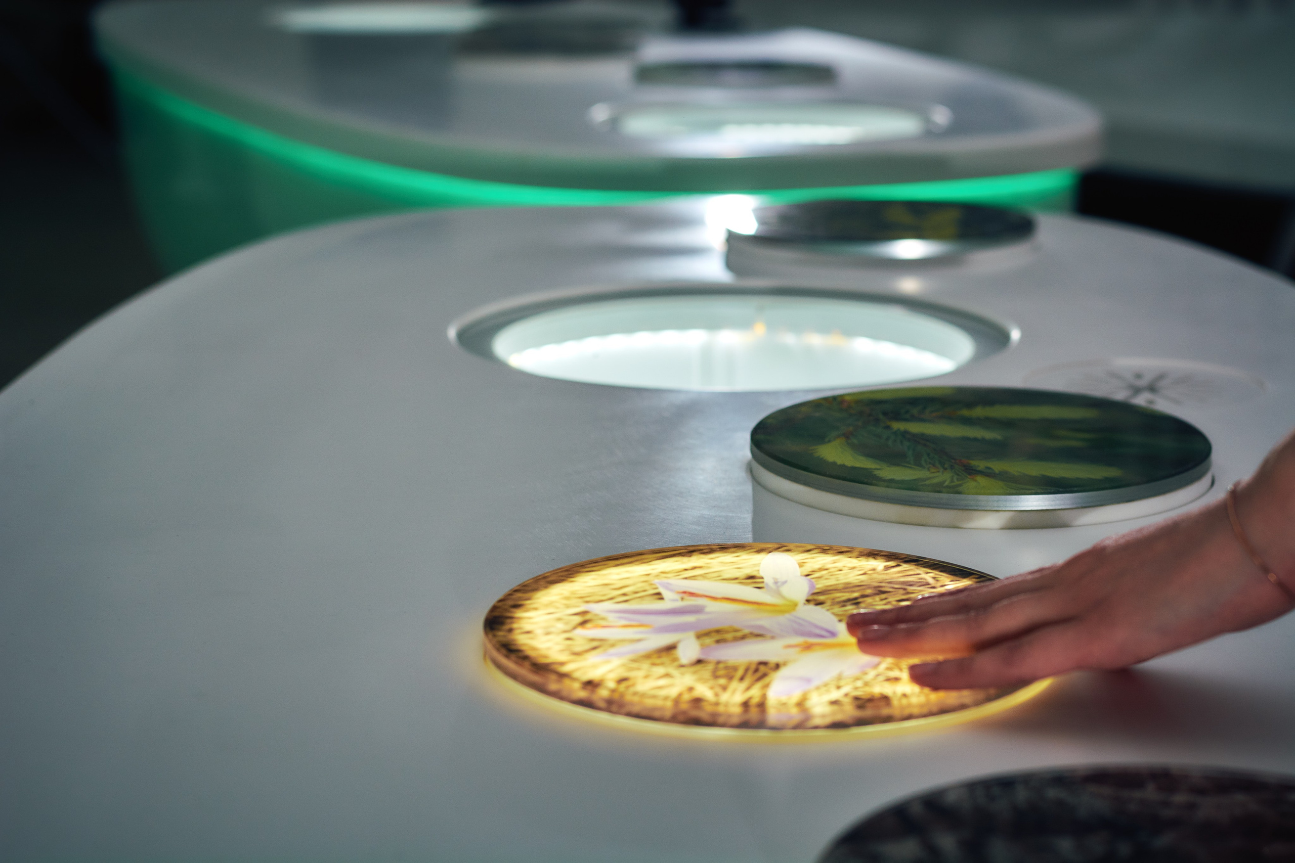 Интерьерная съемка Визит-центр Национальный парк «Кисловодский». Константин Кордонский | Интерьерный и food-фотограф в Кисловодске и КМВ