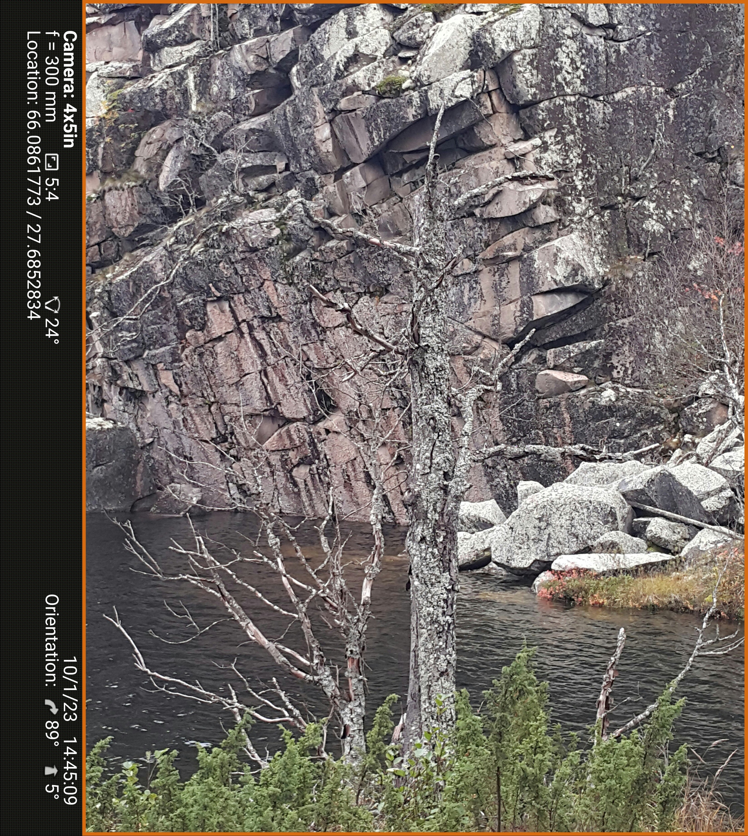 Березовый пруд. Северные Ночи