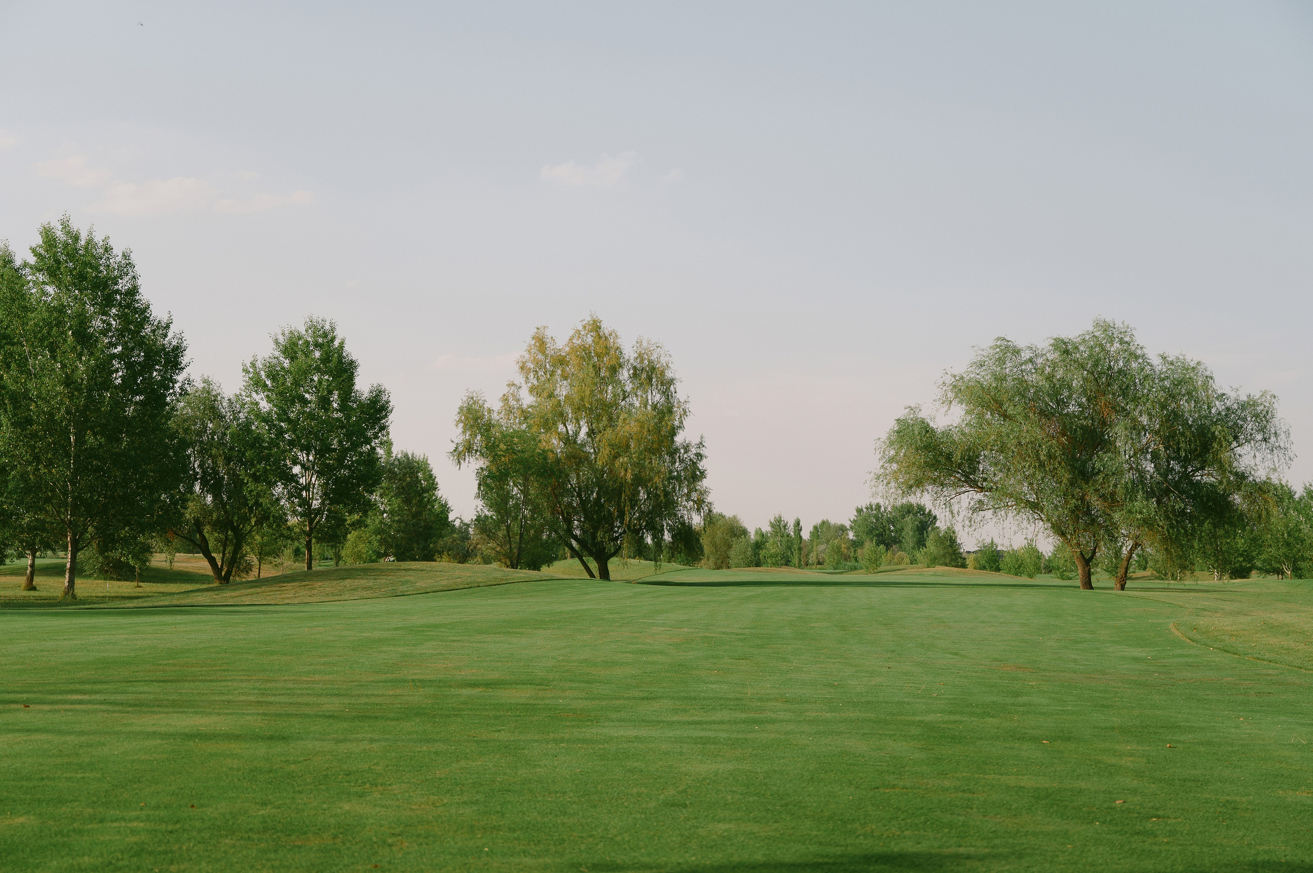 Лина и Стас. Свадебный фотограф в Ростовe-на-Дону Анастасия Прутова