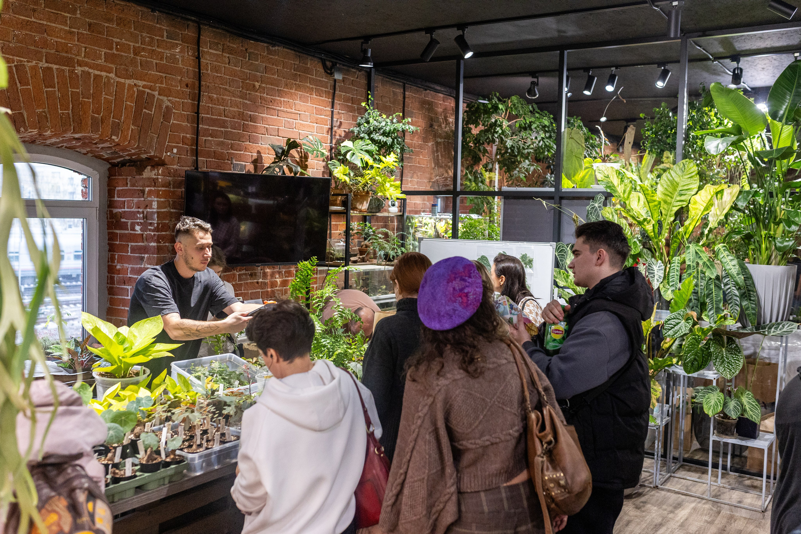 GreenRare ярмарка 2024. Александра Куликова фотограф, Москва