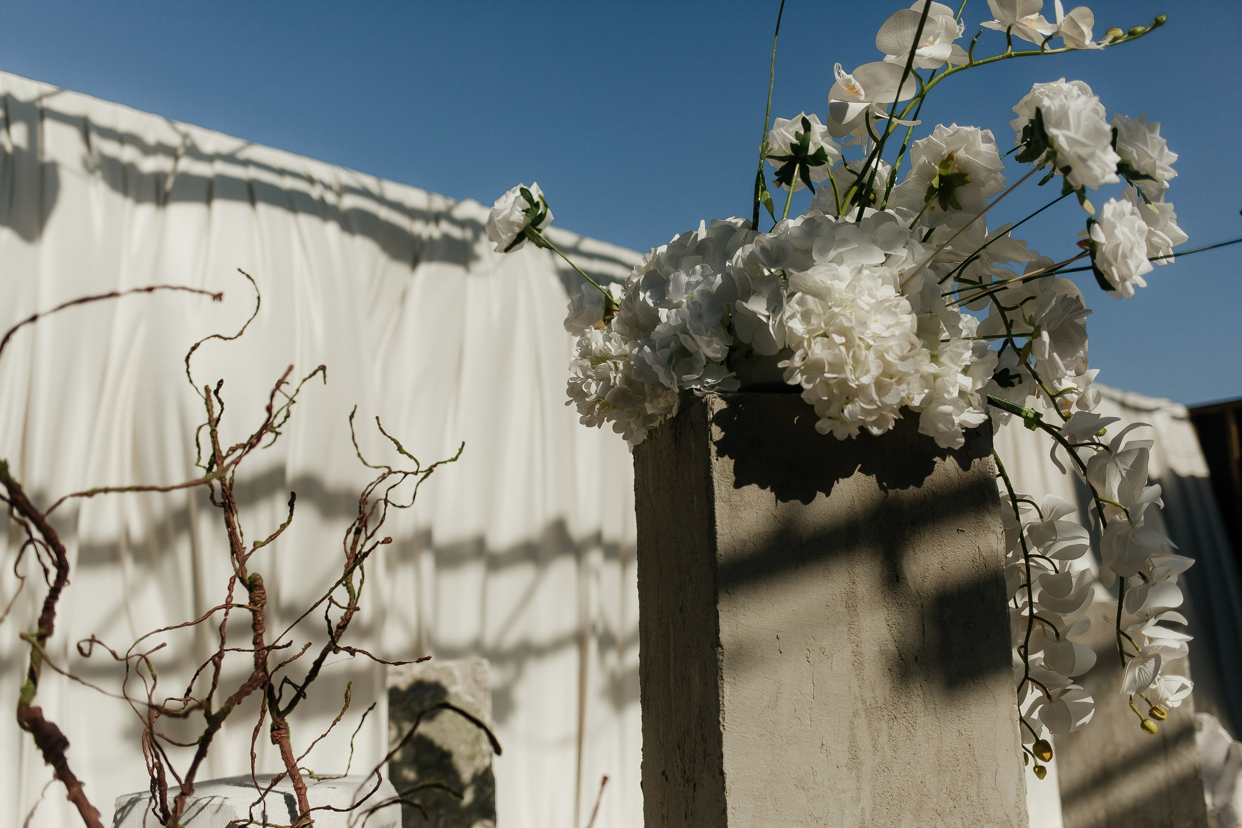 A & A. Фотограф Ольга Сапронова. Свадебный фотограф Ольга Сапронова