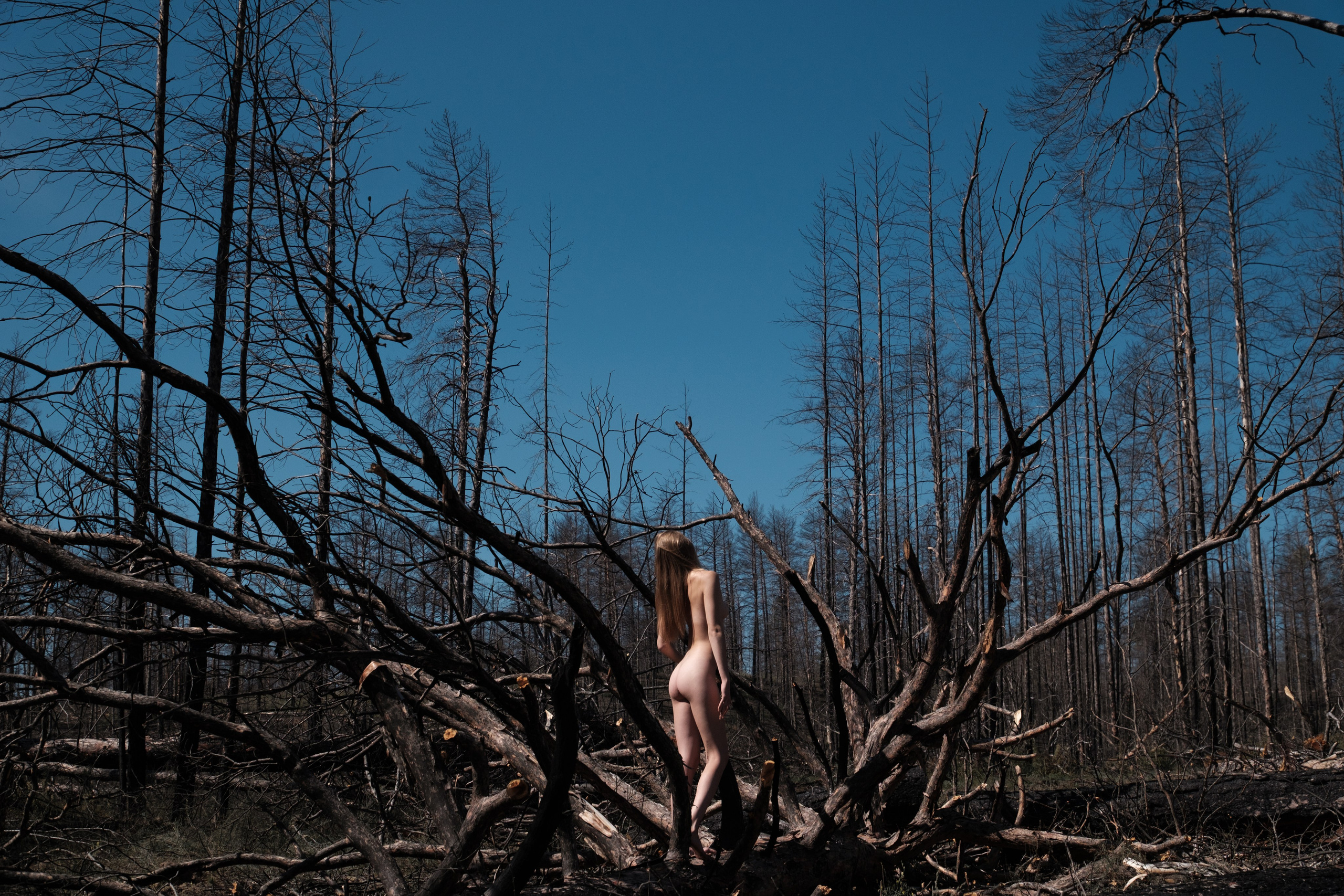 Горельник. Фотограф Коробова Екатерина