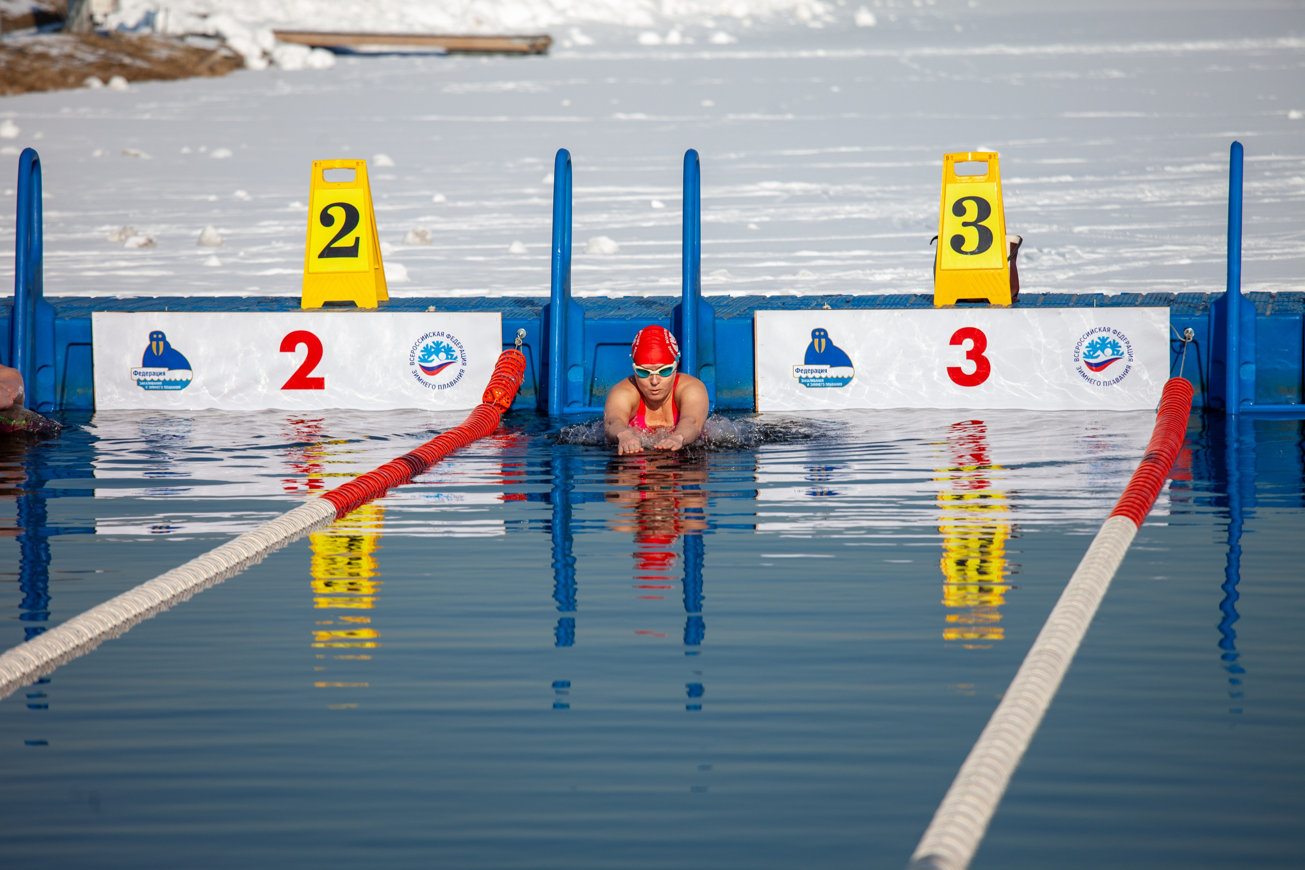 Кубок Дружбы- Москва. Репортажный, семейный, свадебный, портретный фотограф